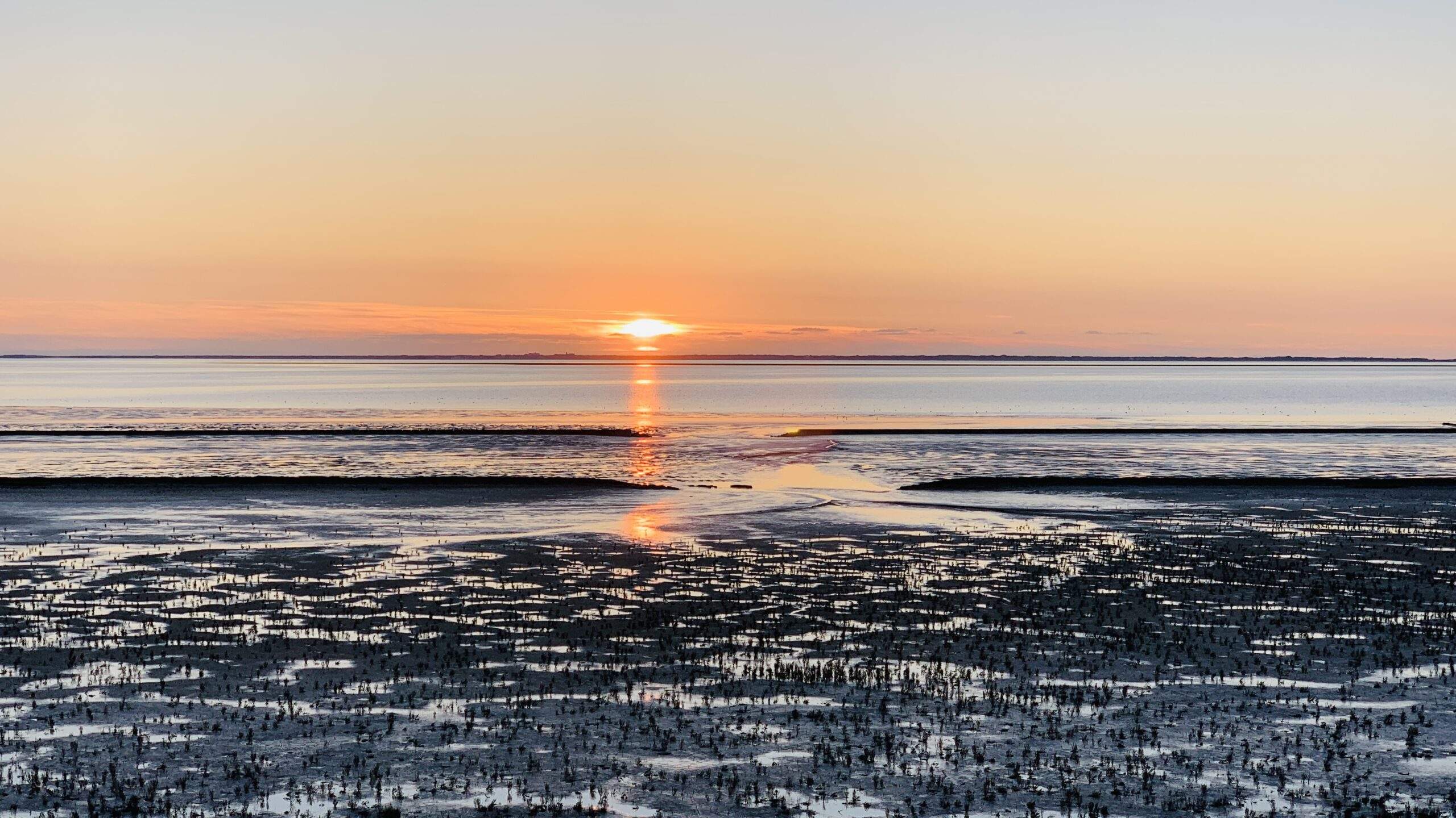 Bild ohne Beschreibung Bild ohne Beschreibung