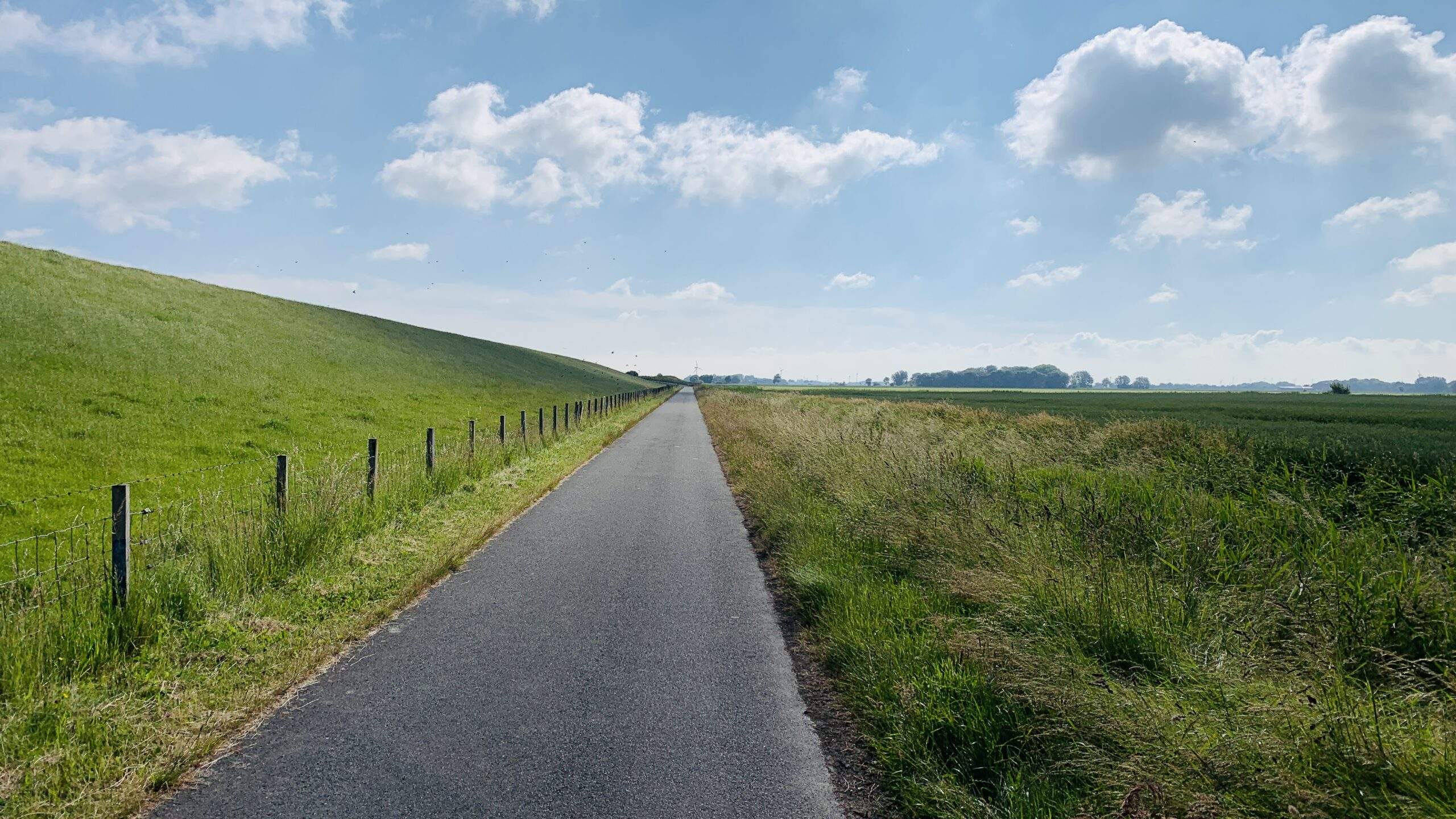 Bild ohne Beschreibung Bild ohne Beschreibung