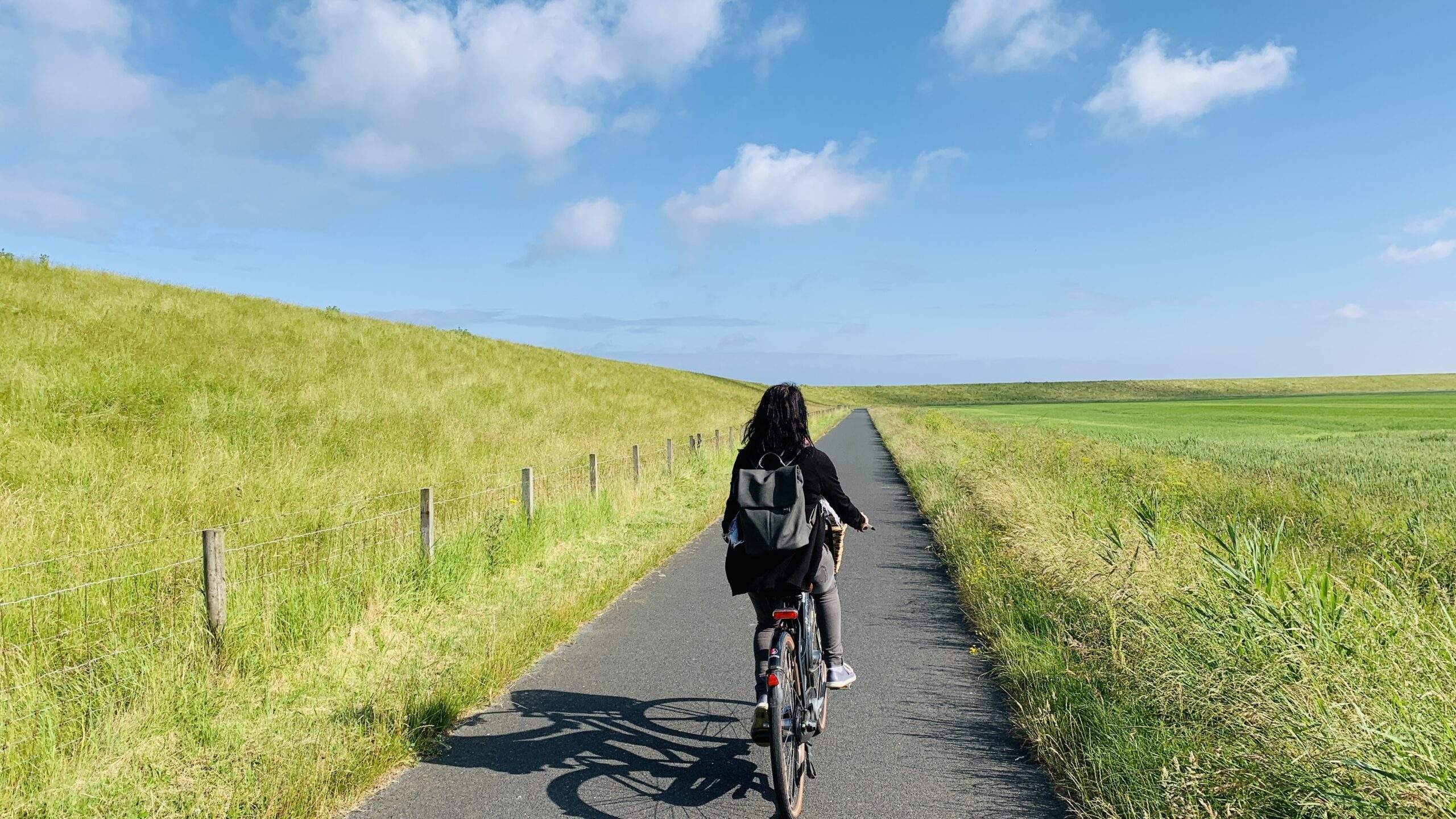 Bild ohne Beschreibung Bild ohne Beschreibung