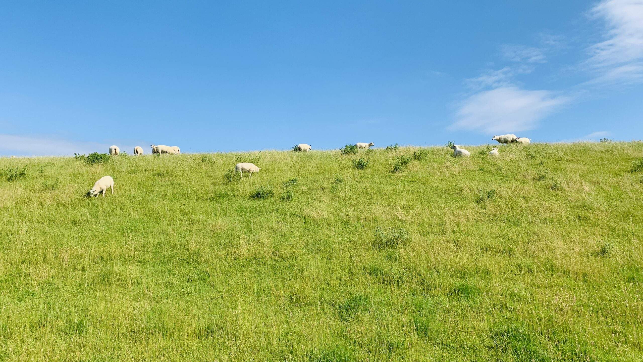 Bild ohne Beschreibung Bild ohne Beschreibung