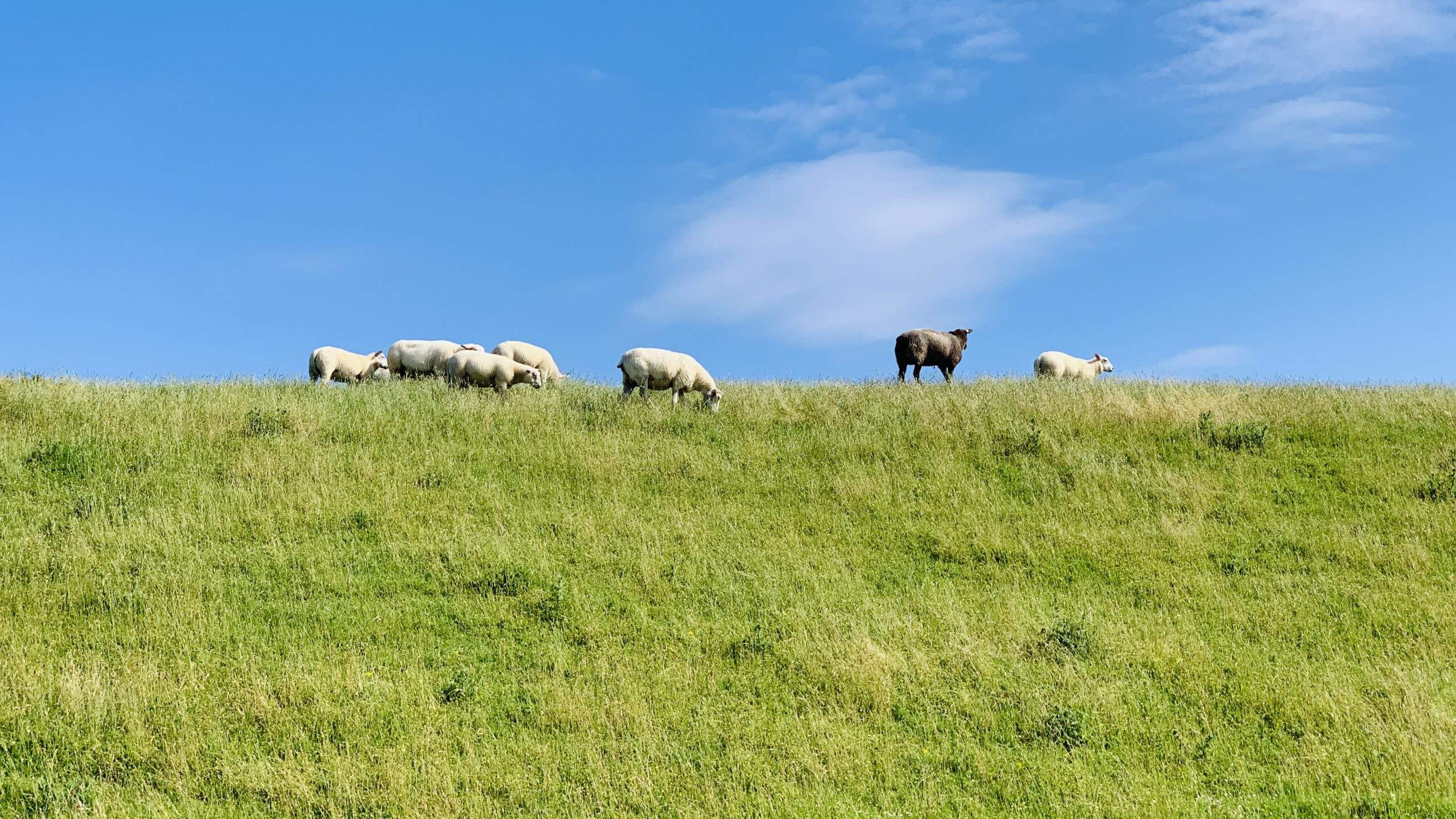 Bild ohne Beschreibung Bild ohne Beschreibung
