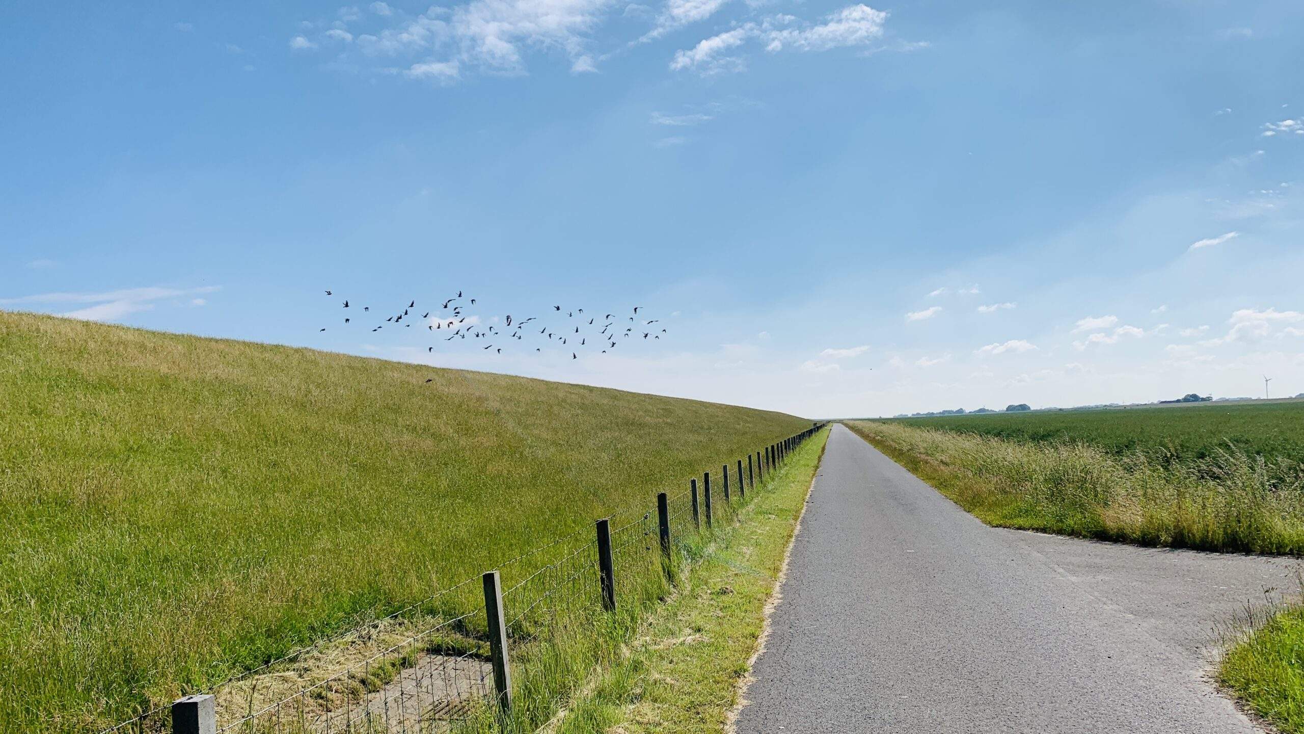 Bild ohne Beschreibung Bild ohne Beschreibung