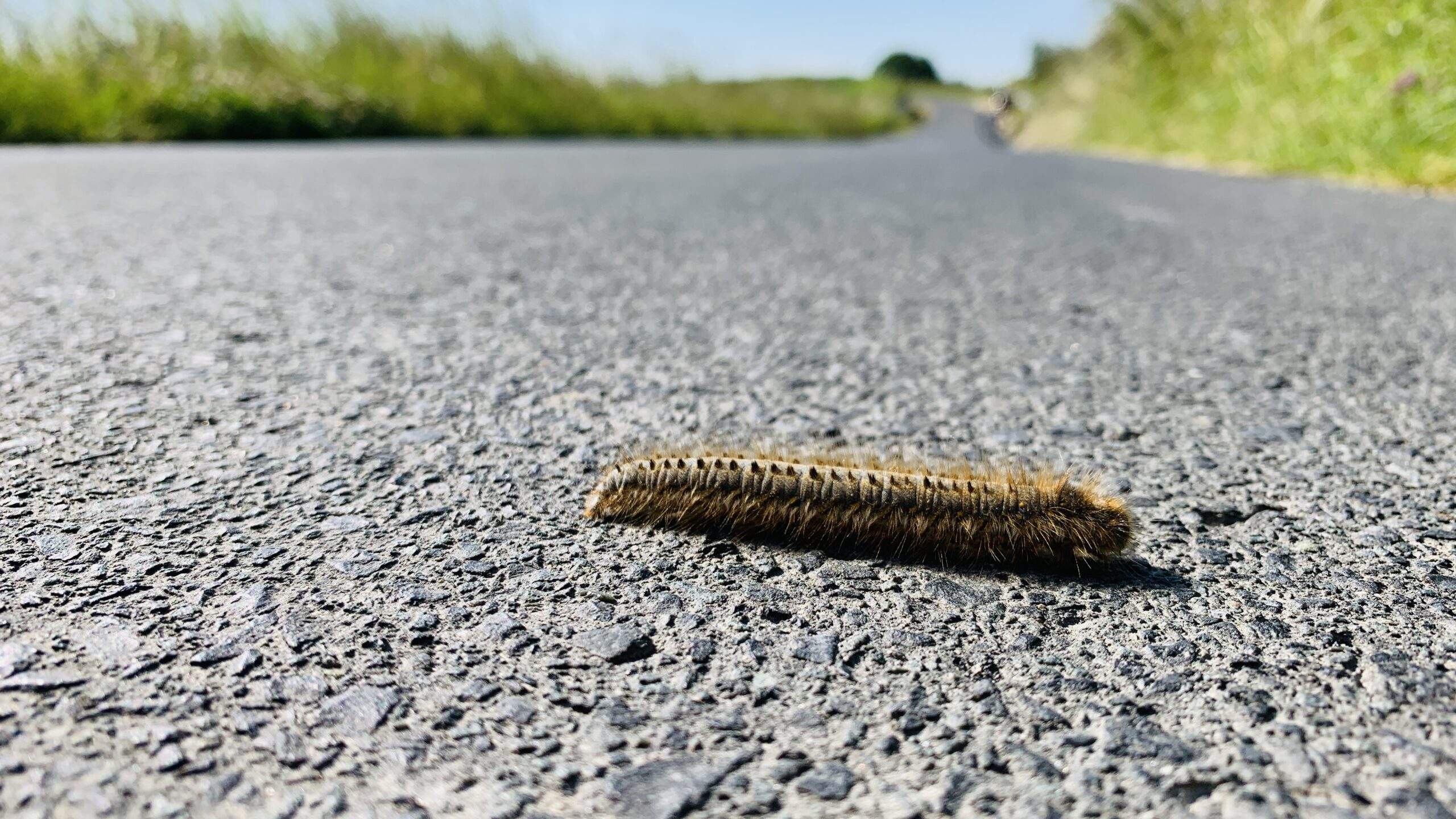Bild ohne Beschreibung Bild ohne Beschreibung