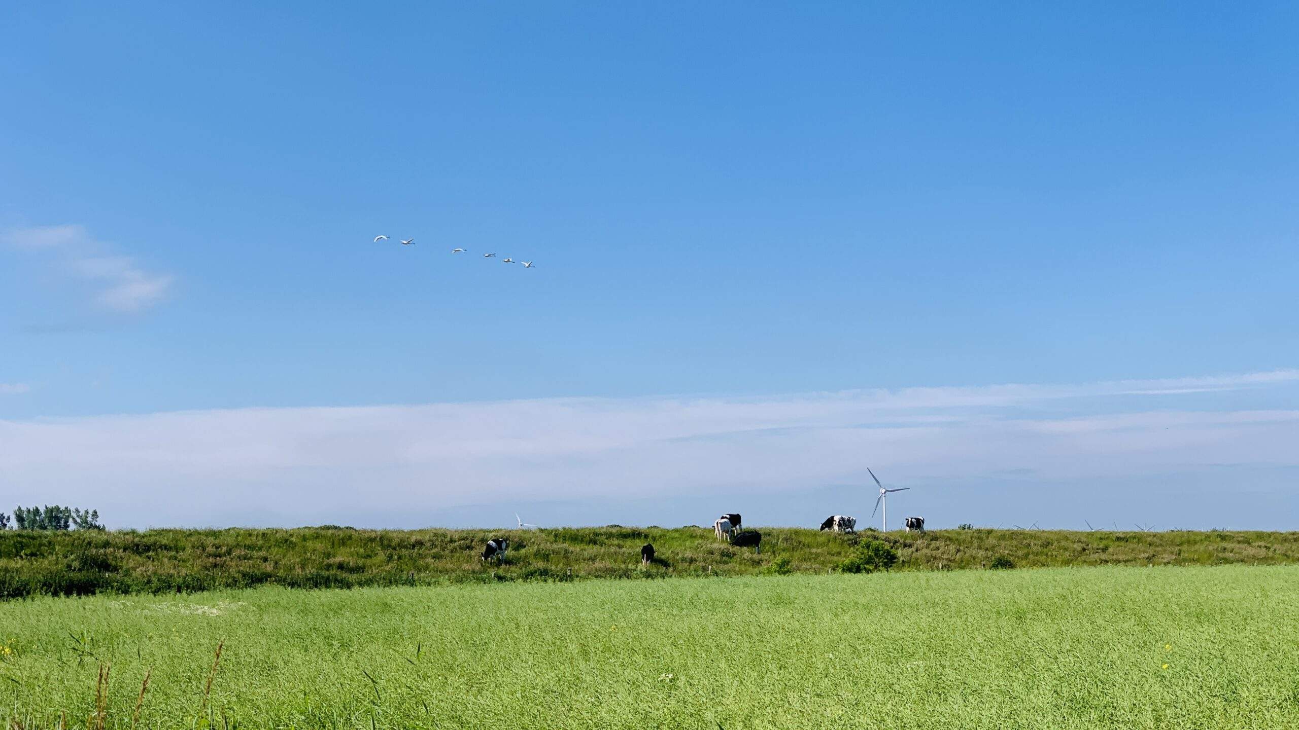 Bild ohne Beschreibung Bild ohne Beschreibung