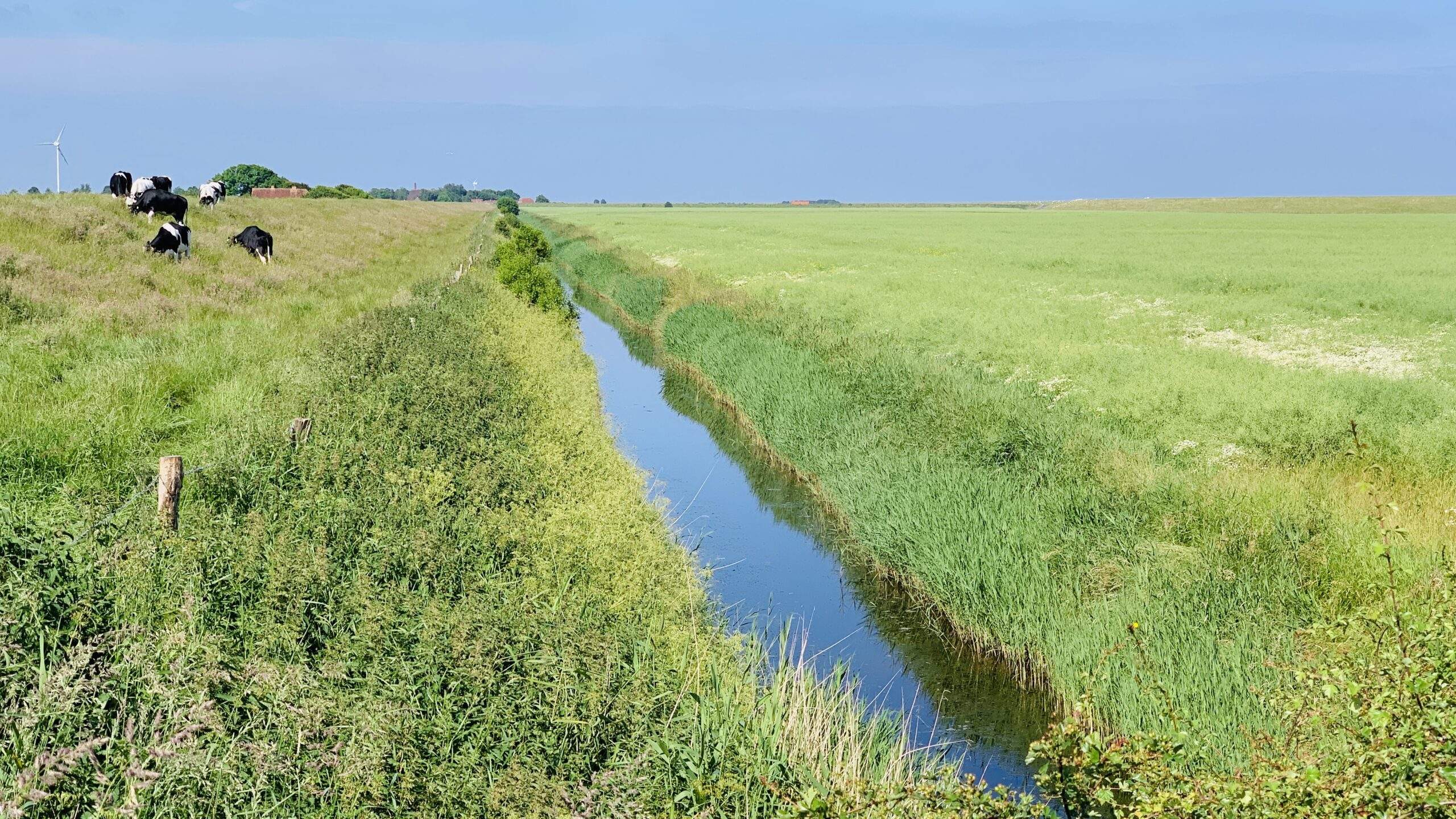 Bild ohne Beschreibung Bild ohne Beschreibung