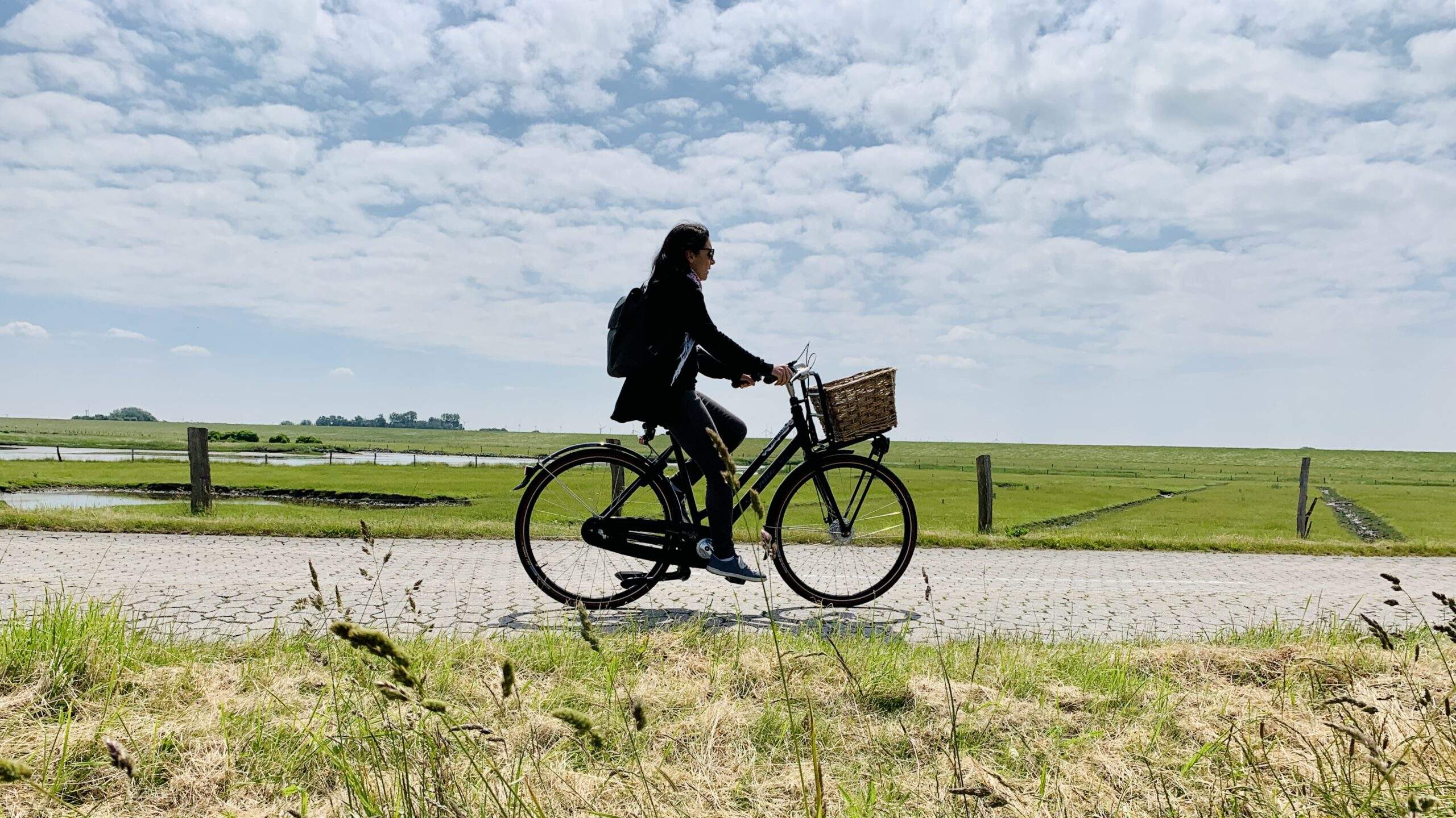 Bild ohne Beschreibung Bild ohne Beschreibung