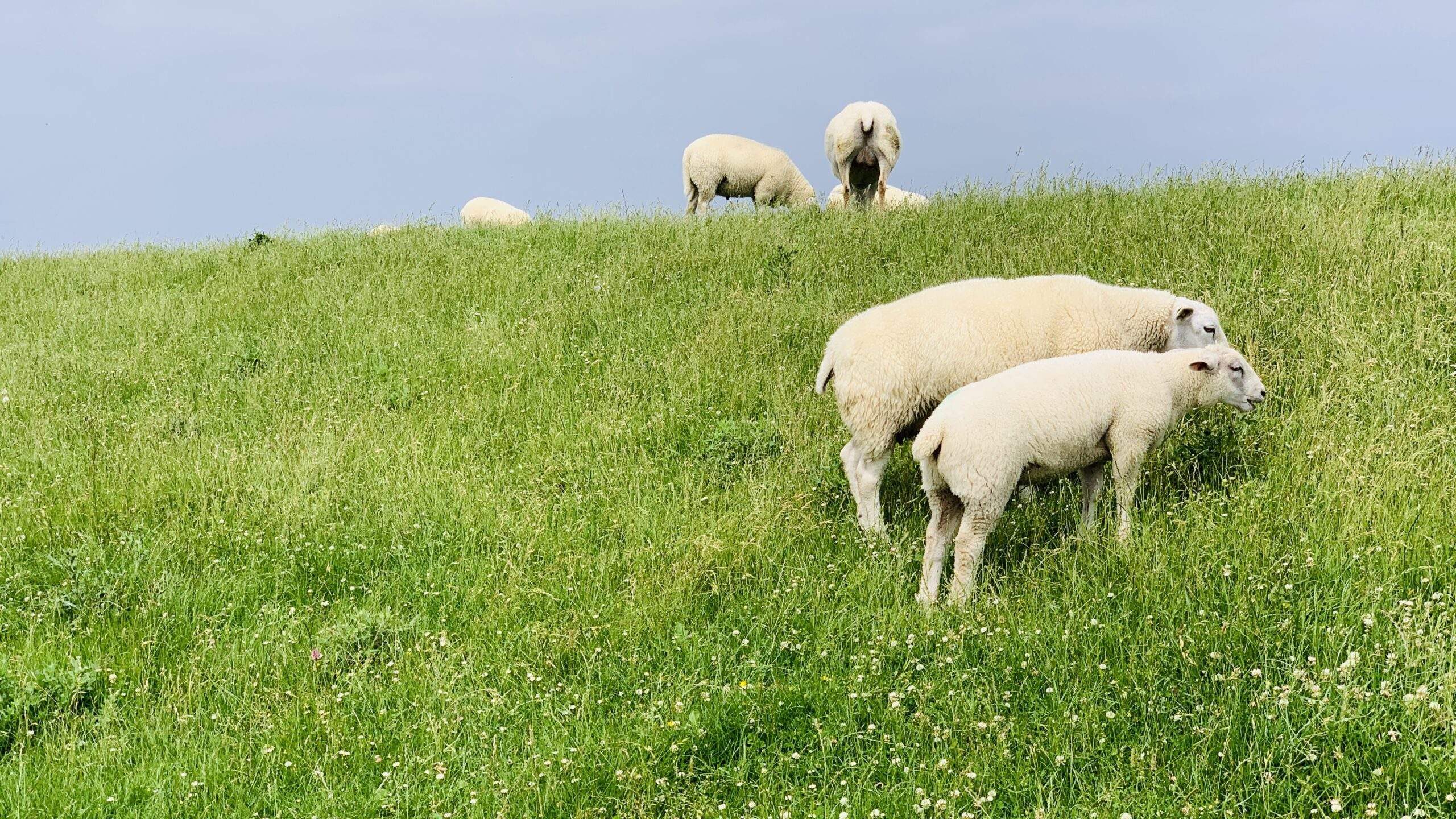 Bild ohne Beschreibung Bild ohne Beschreibung
