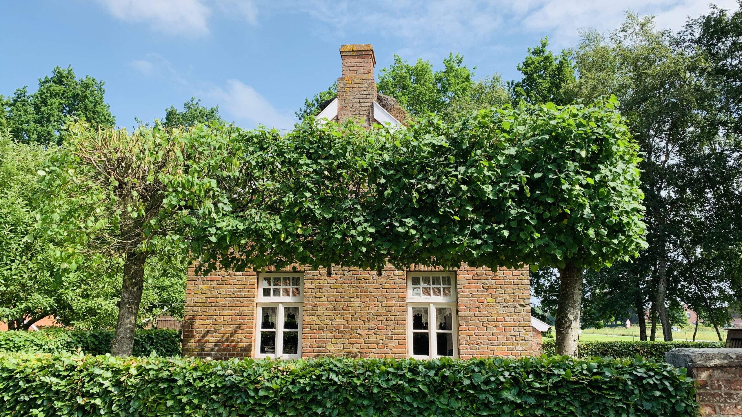 Bild ohne Beschreibung Bild ohne Beschreibung