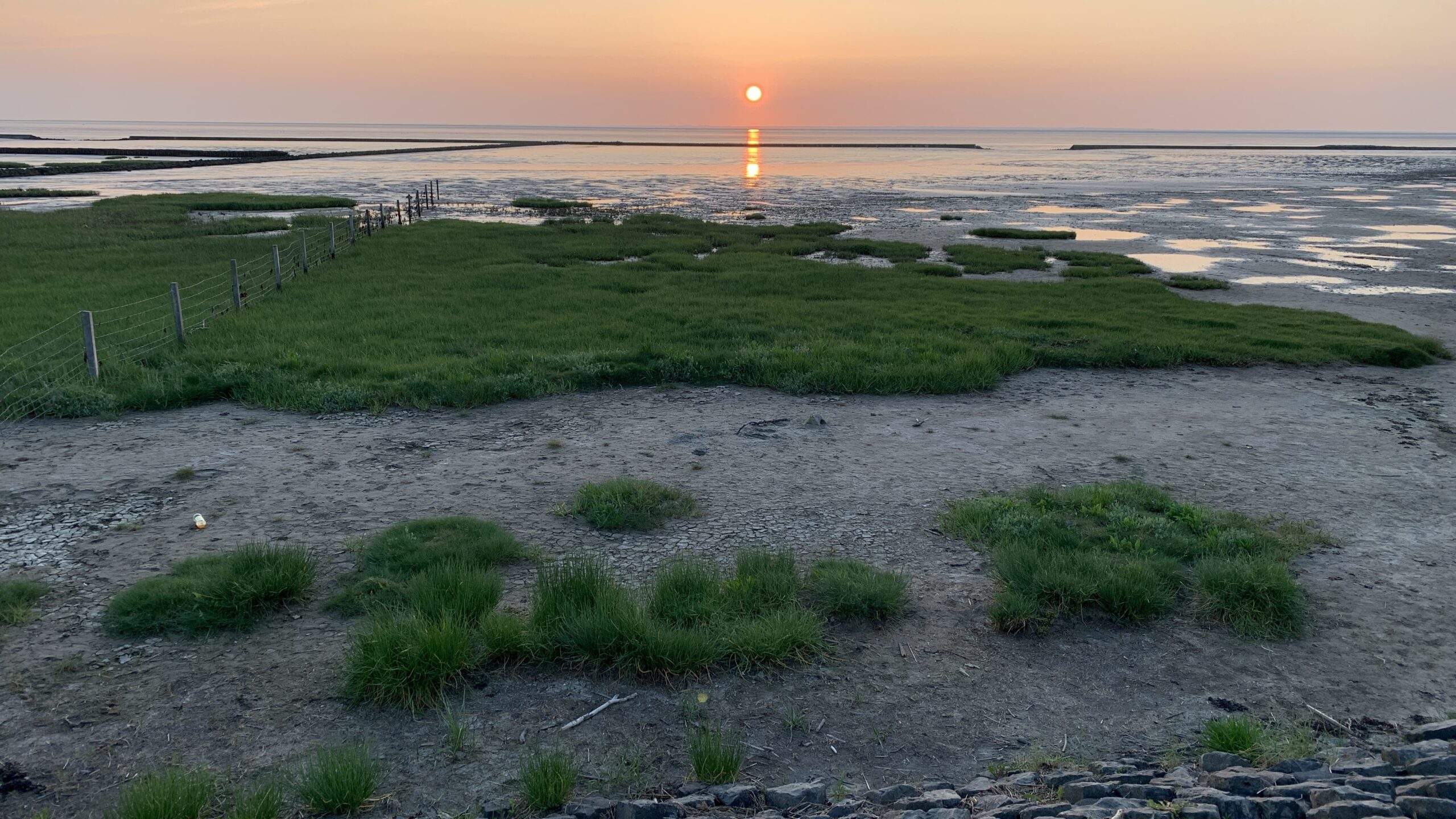 Bild ohne Beschreibung Bild ohne Beschreibung