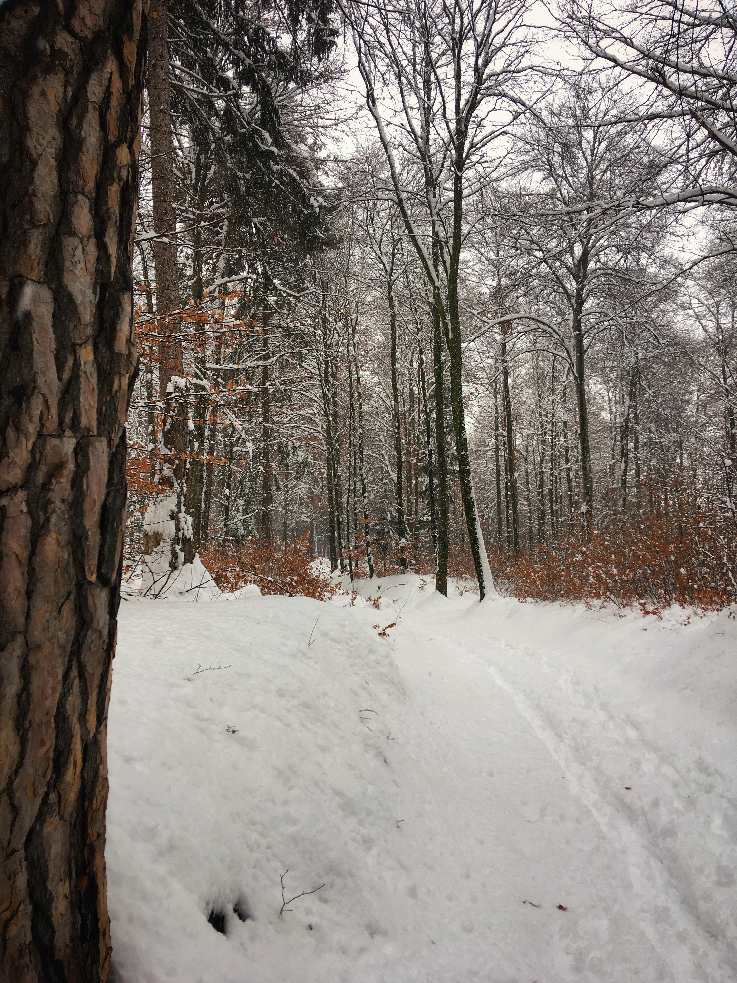 Bild ohne Beschreibung