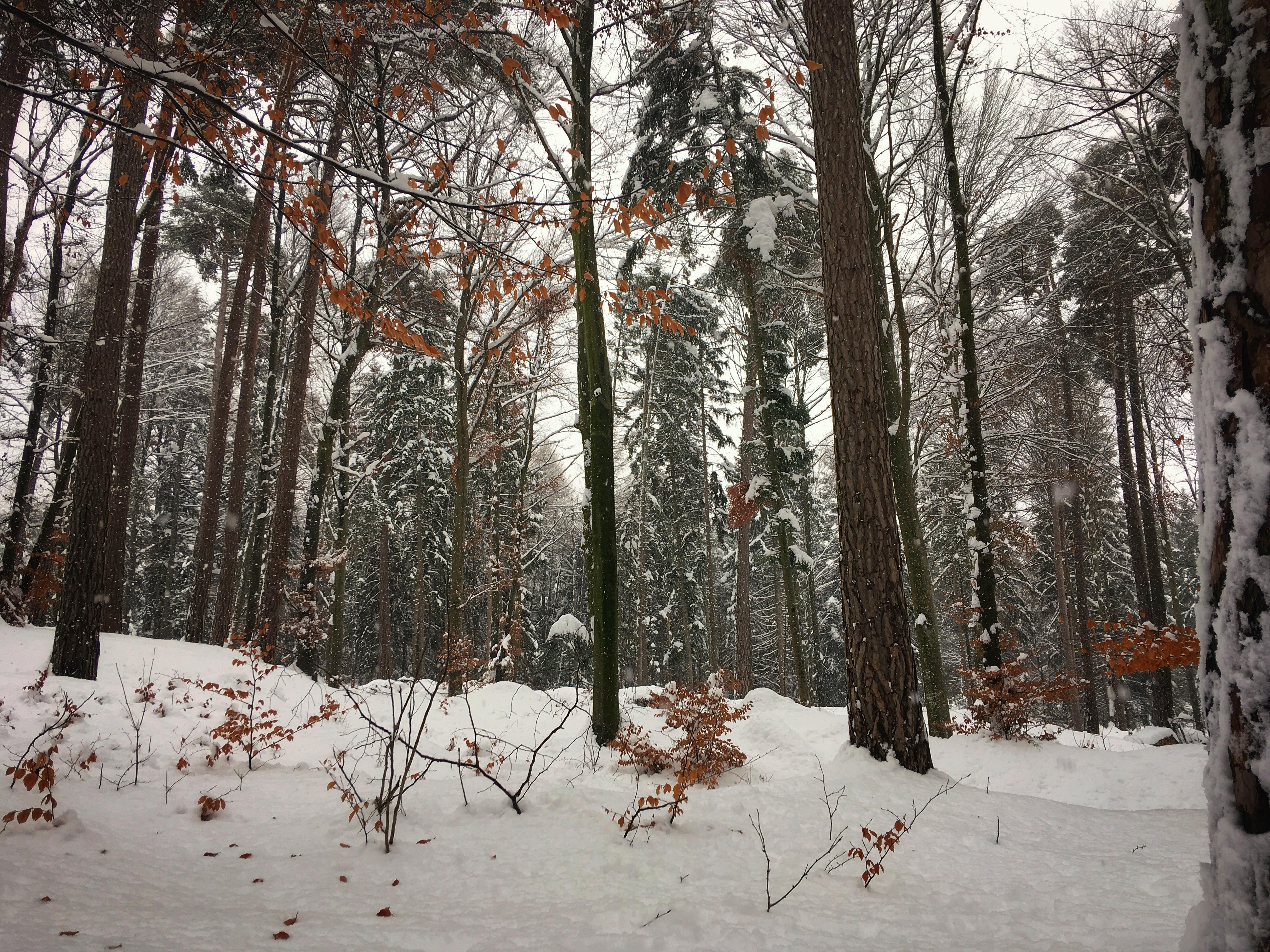 Bild ohne Beschreibung