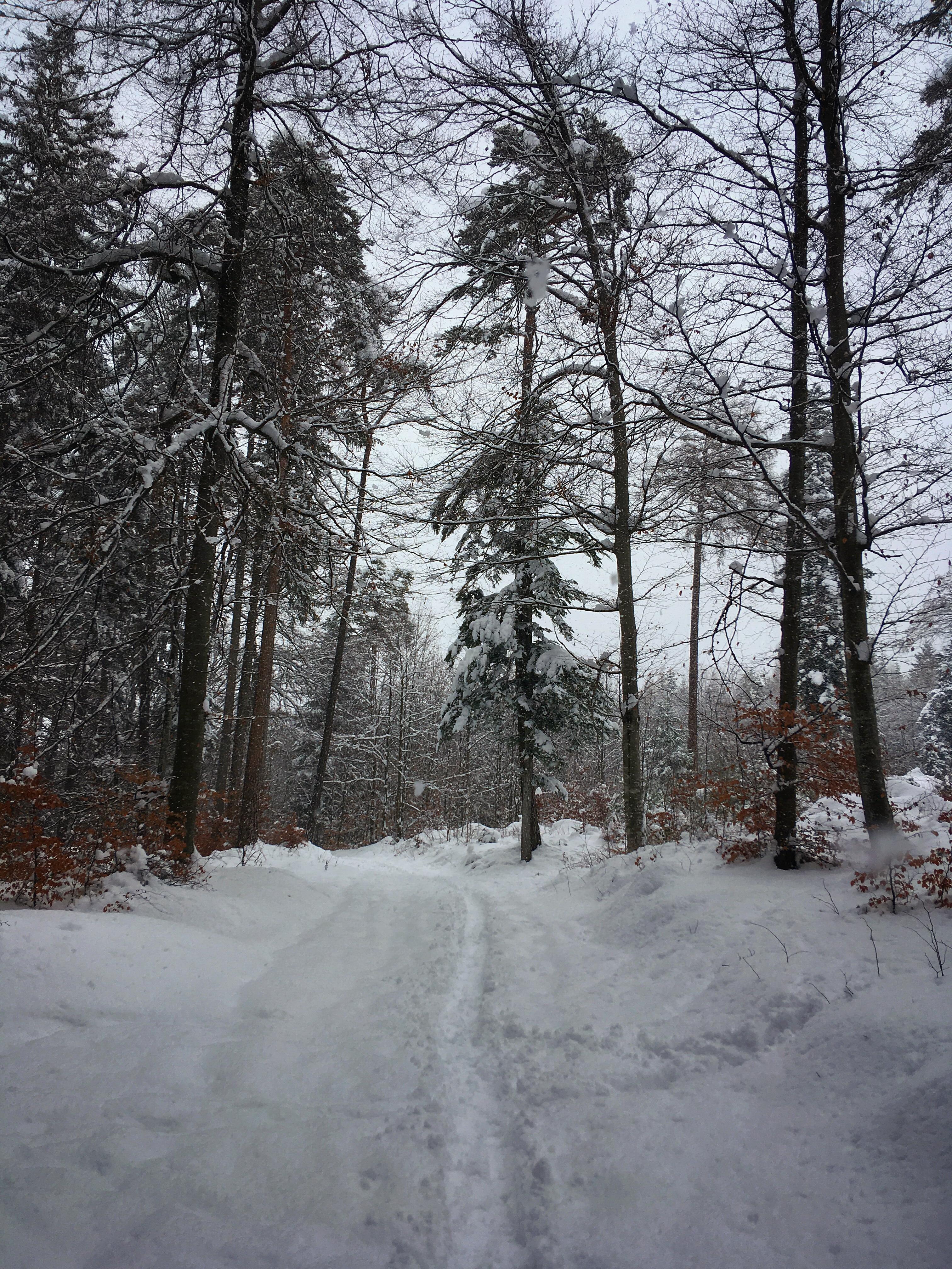 Bild ohne Beschreibung