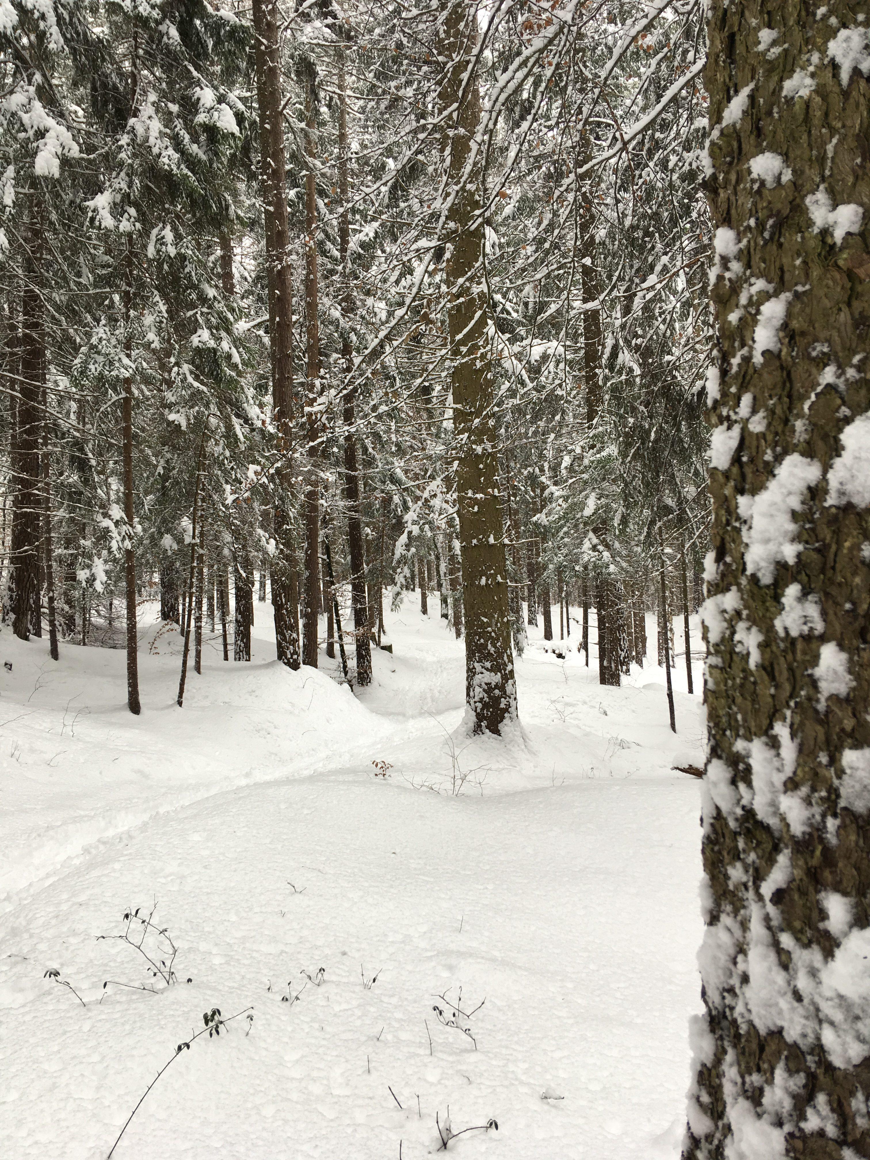 Bild ohne Beschreibung