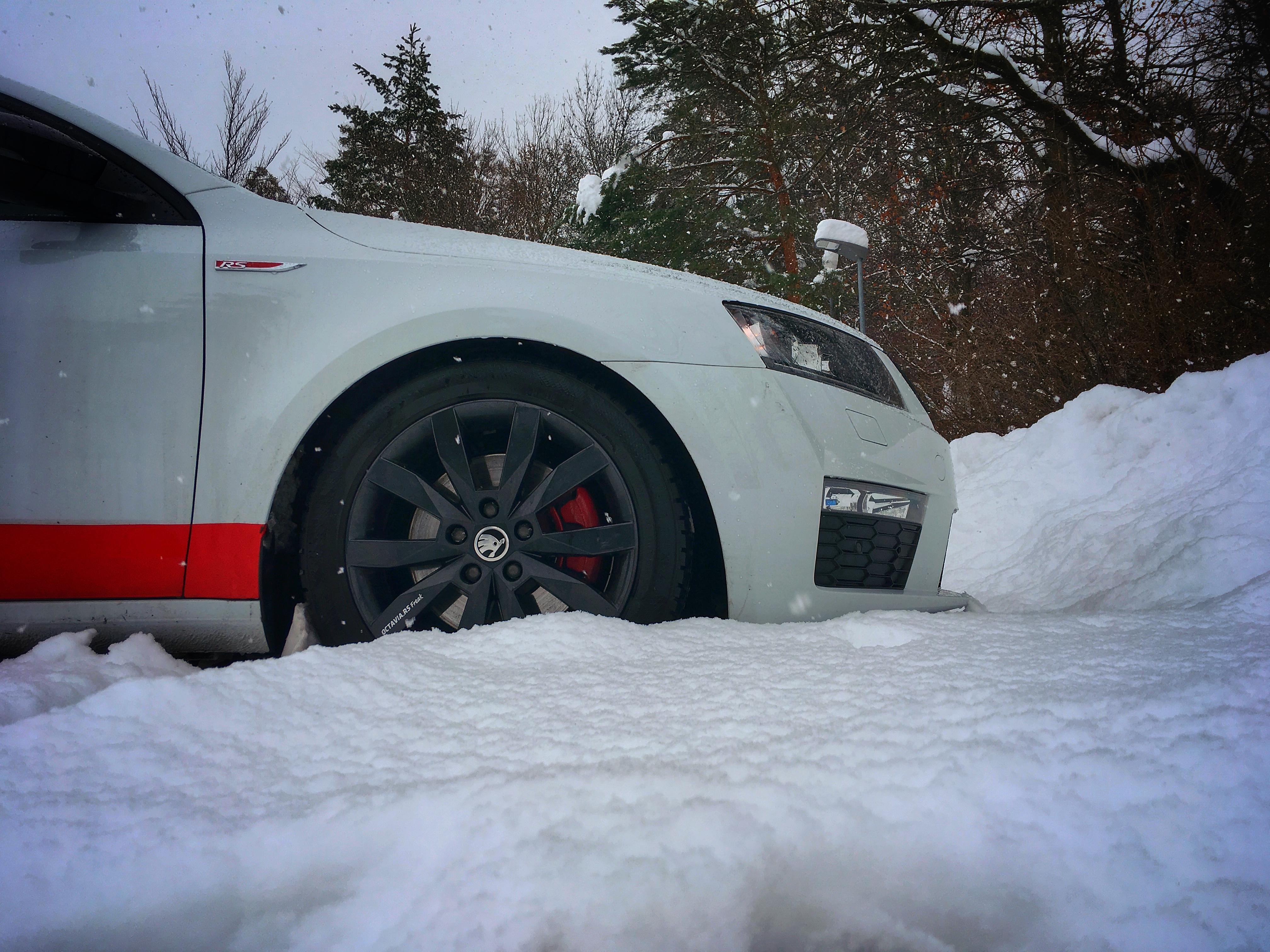 Bild ohne Beschreibung