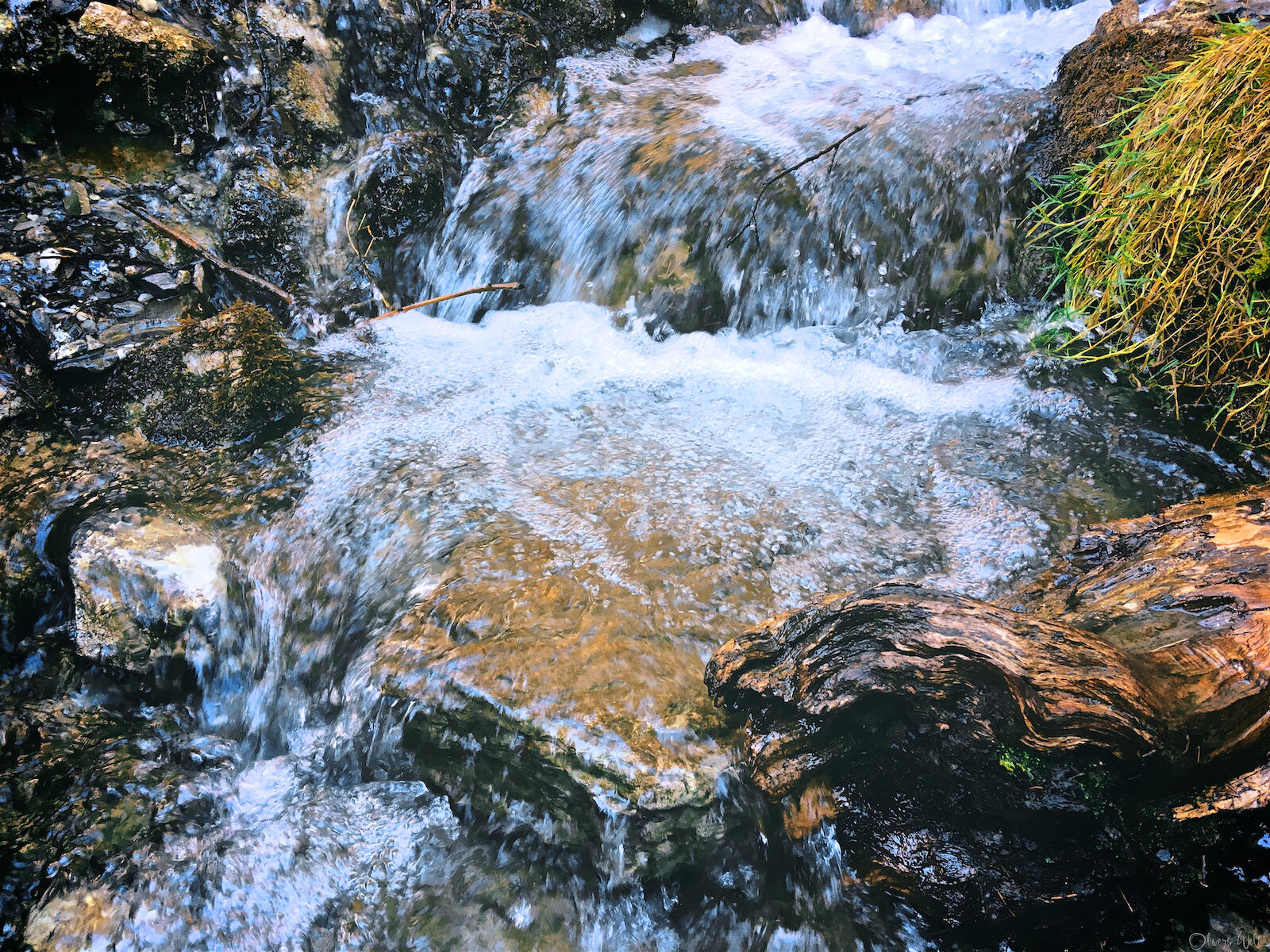 Bild ohne Beschreibung Bild ohne Beschreibung