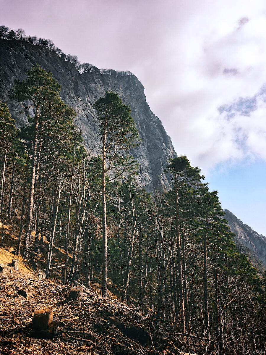 Bild ohne Beschreibung Bild ohne Beschreibung