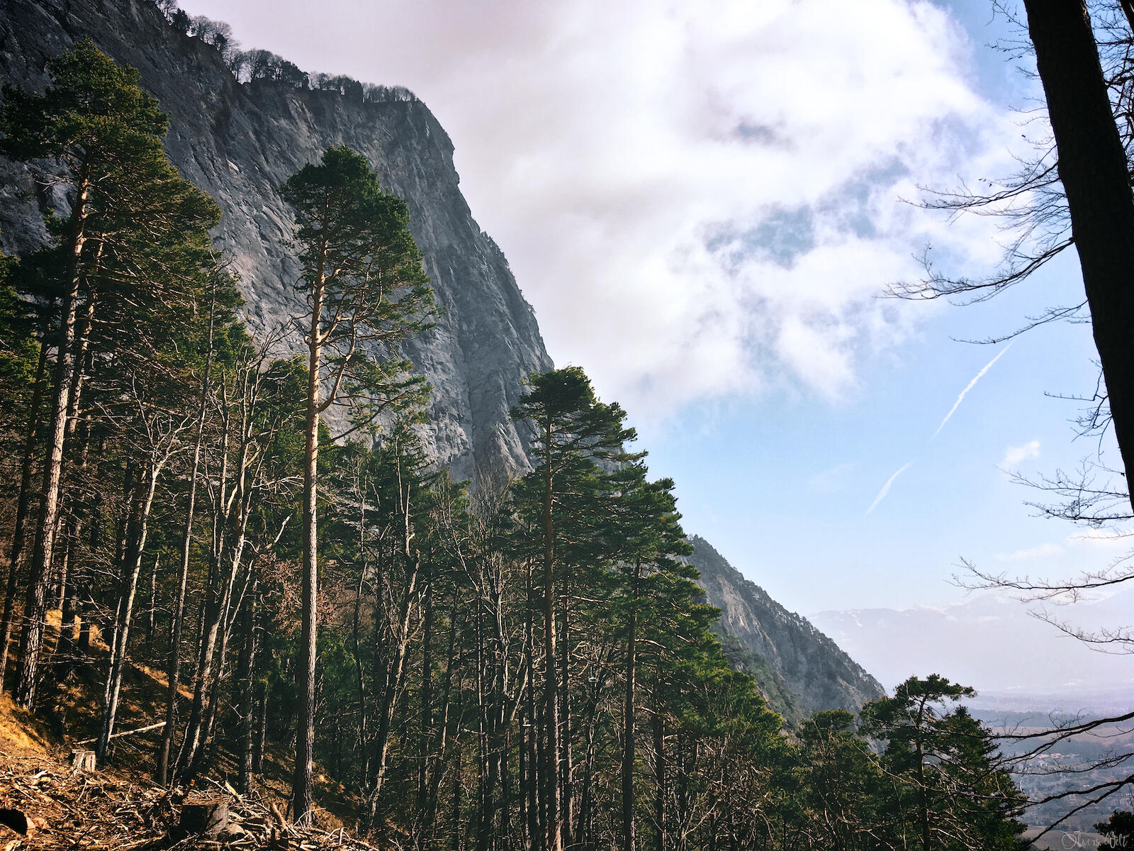 Bild ohne Beschreibung Bild ohne Beschreibung