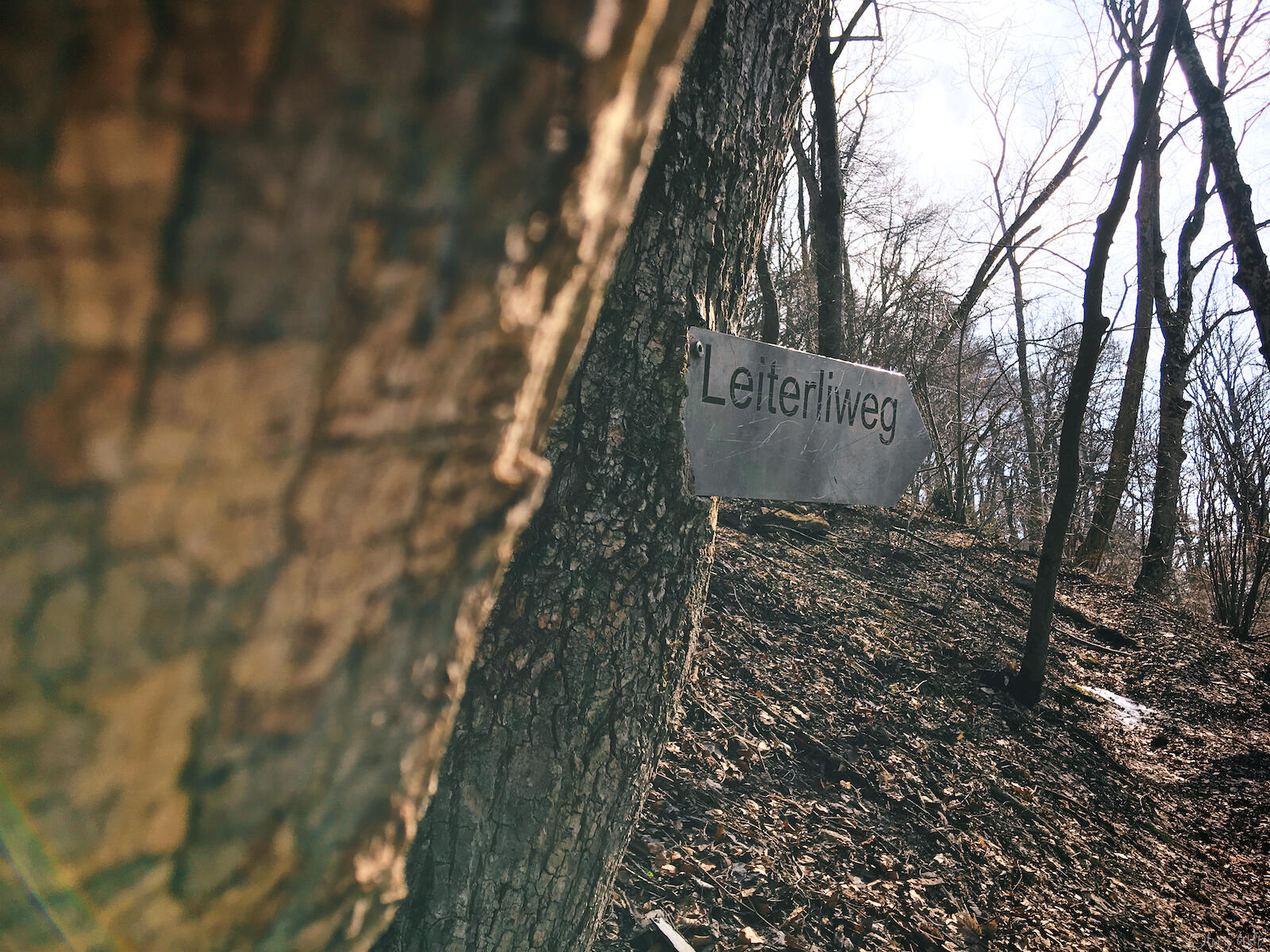 Bild ohne Beschreibung Bild ohne Beschreibung