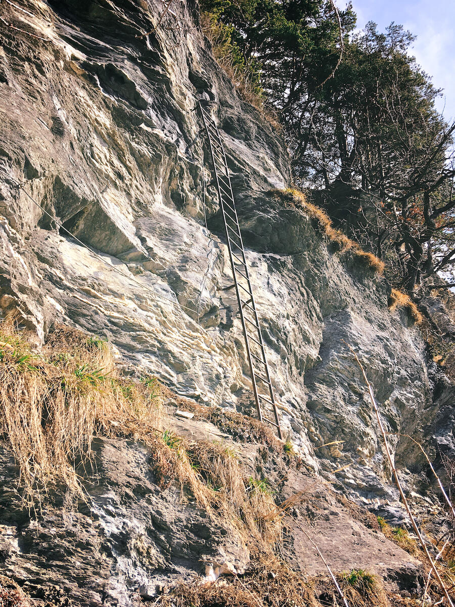 Bild ohne Beschreibung Bild ohne Beschreibung