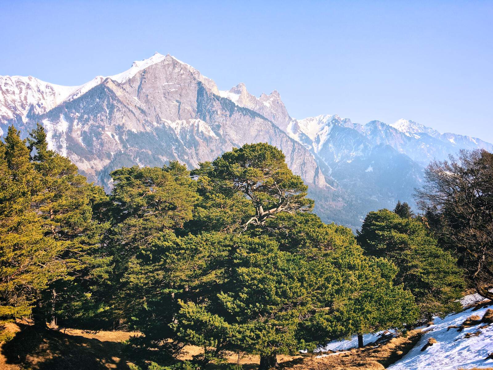 Bild ohne Beschreibung Bild ohne Beschreibung