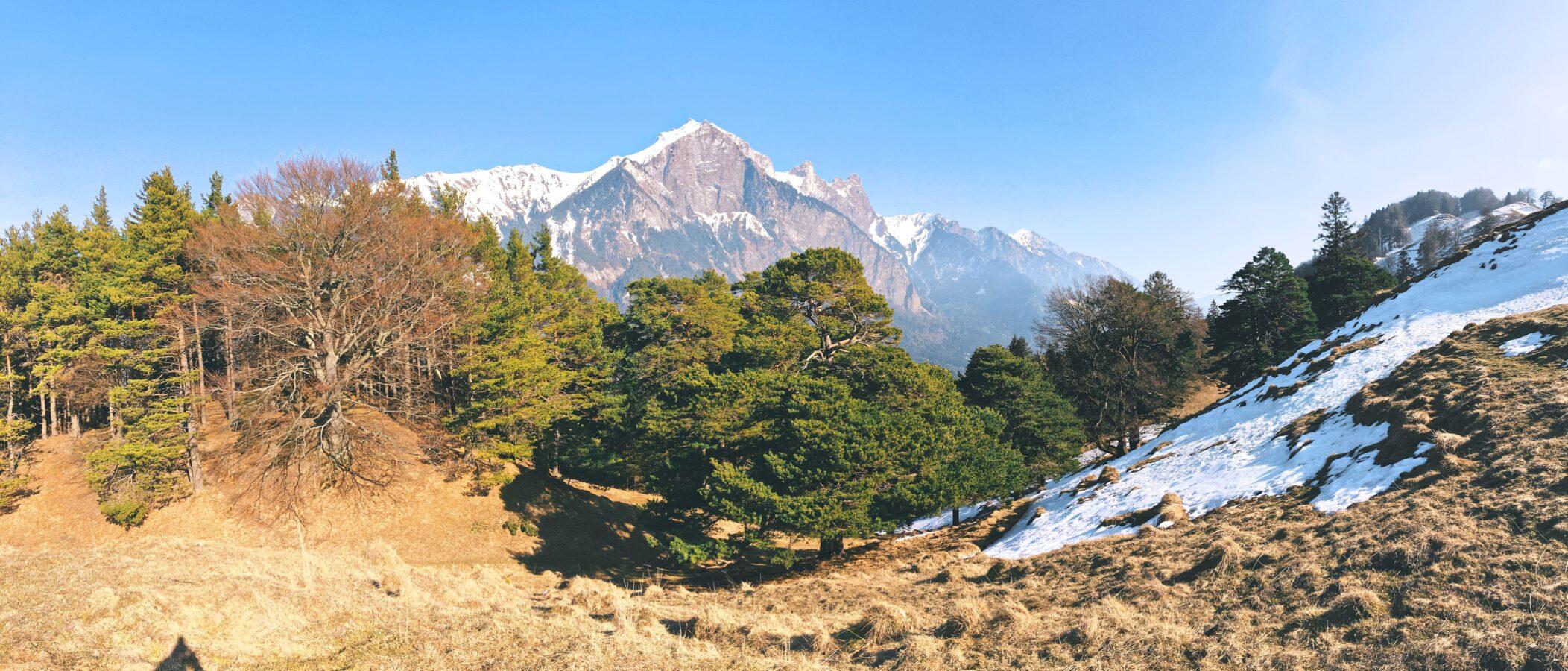 Bild ohne Beschreibung Bild ohne Beschreibung