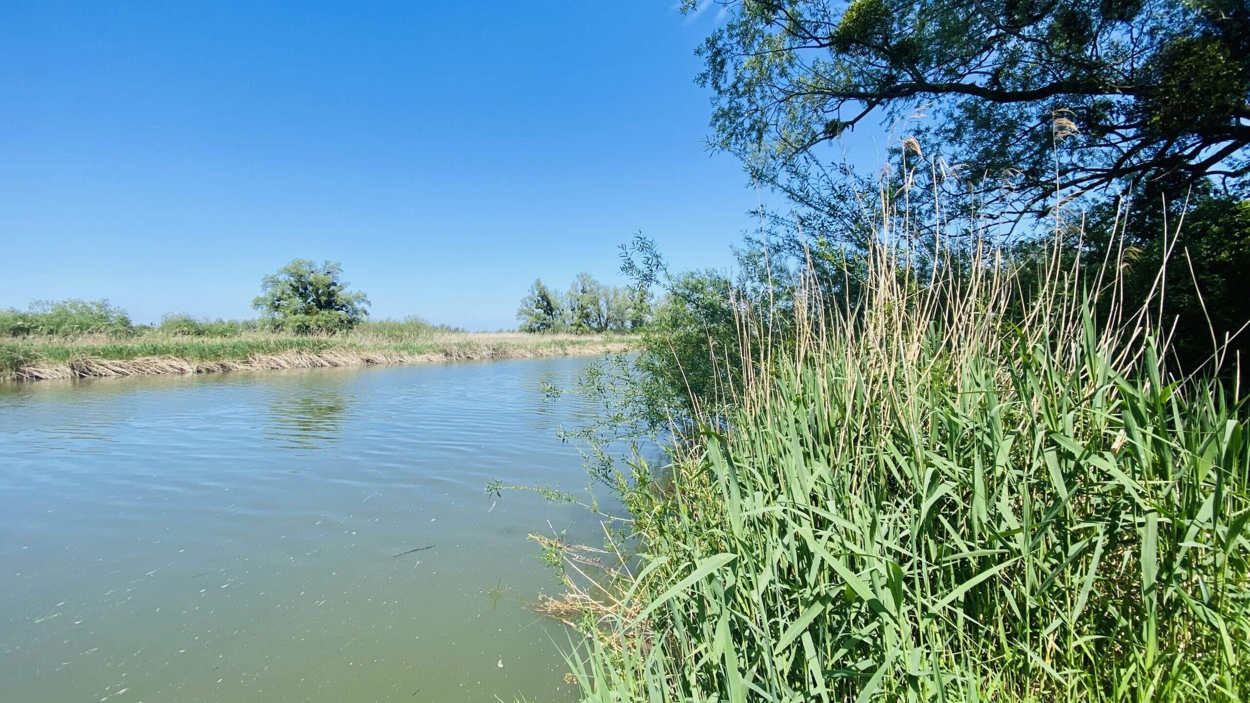 Bild ohne Beschreibung