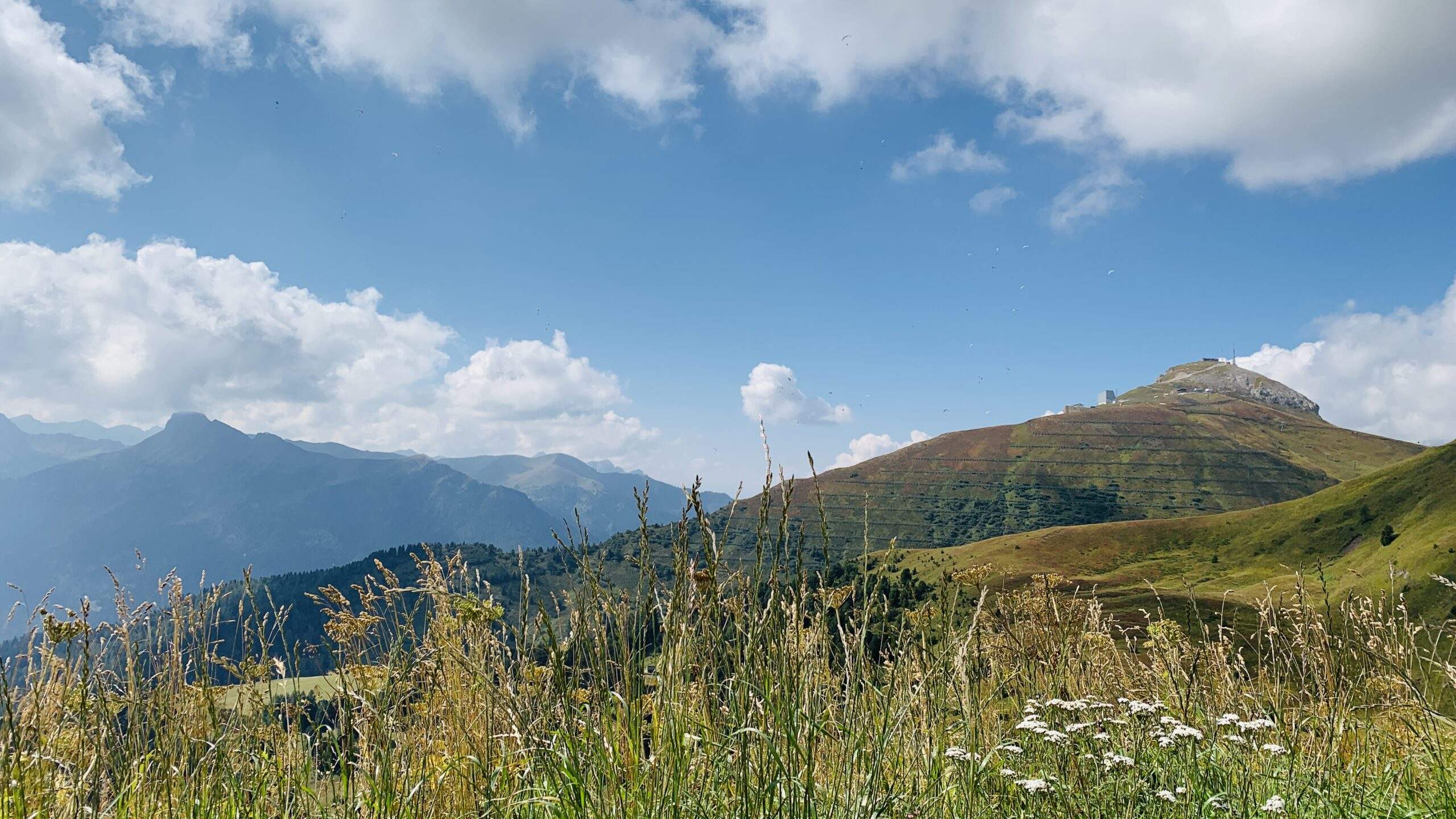 Bild ohne Beschreibung Bild ohne Beschreibung