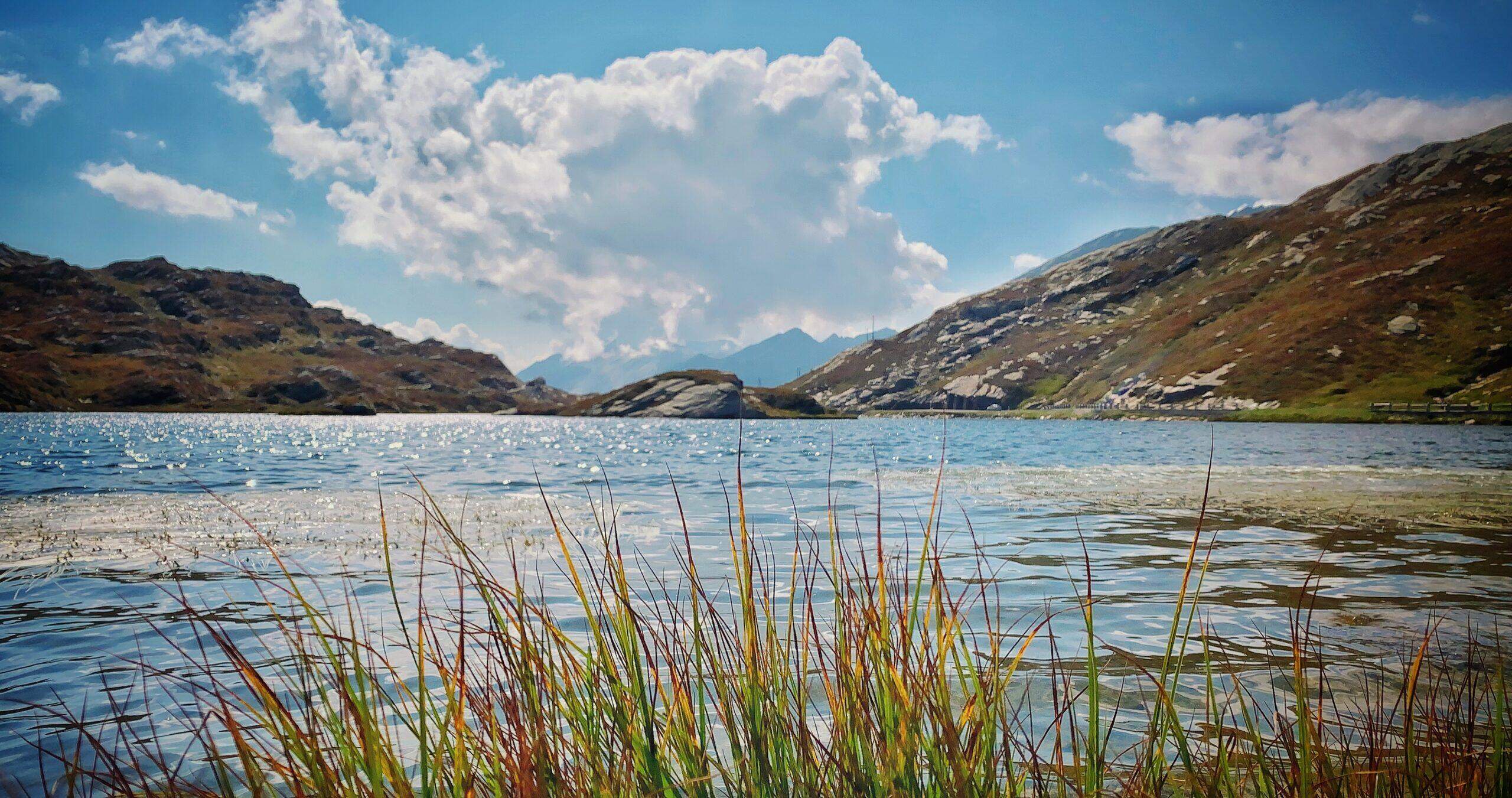 Bild ohne Beschreibung