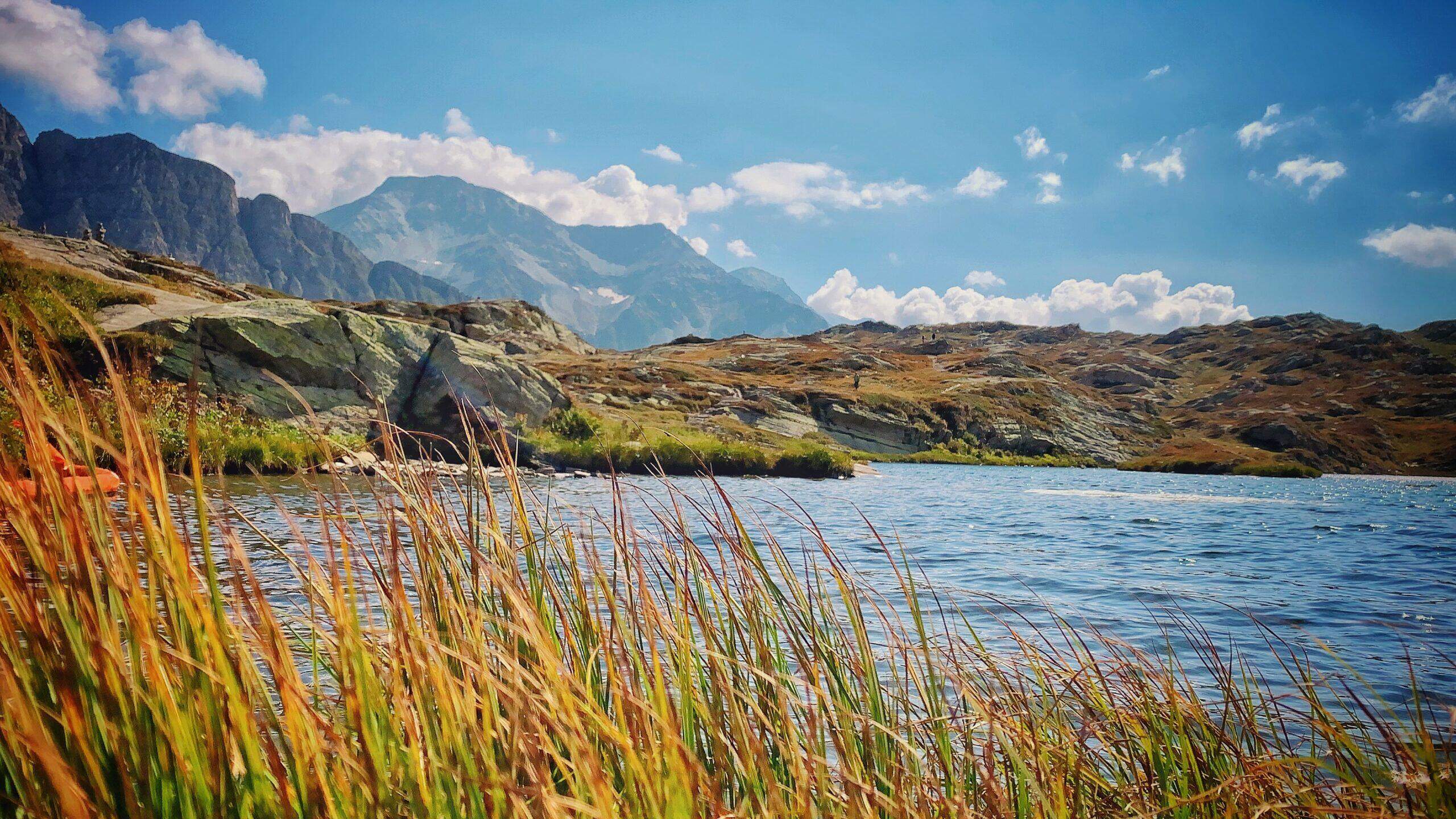 Bild ohne Beschreibung