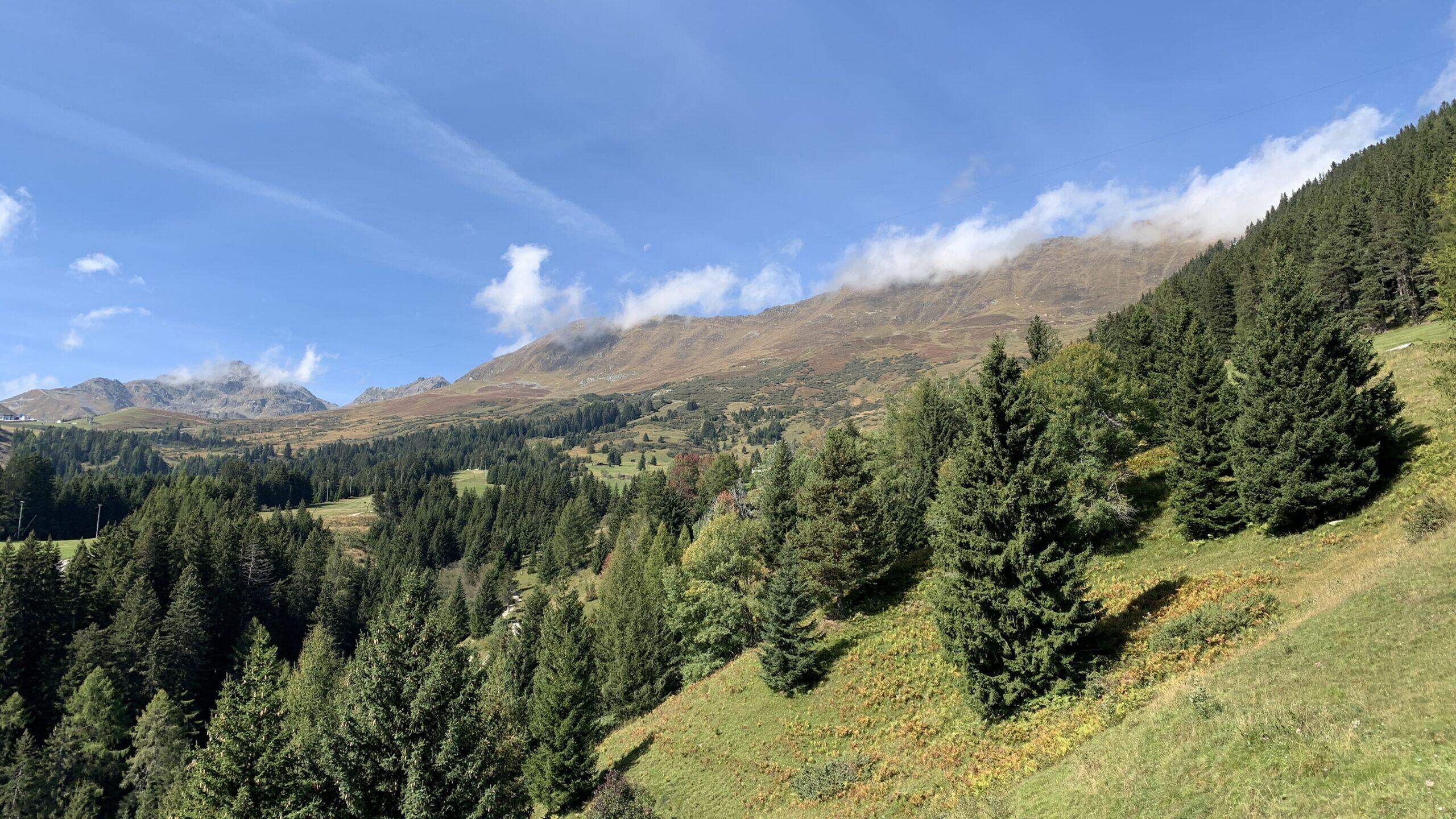 Bild ohne Beschreibung Bild ohne Beschreibung