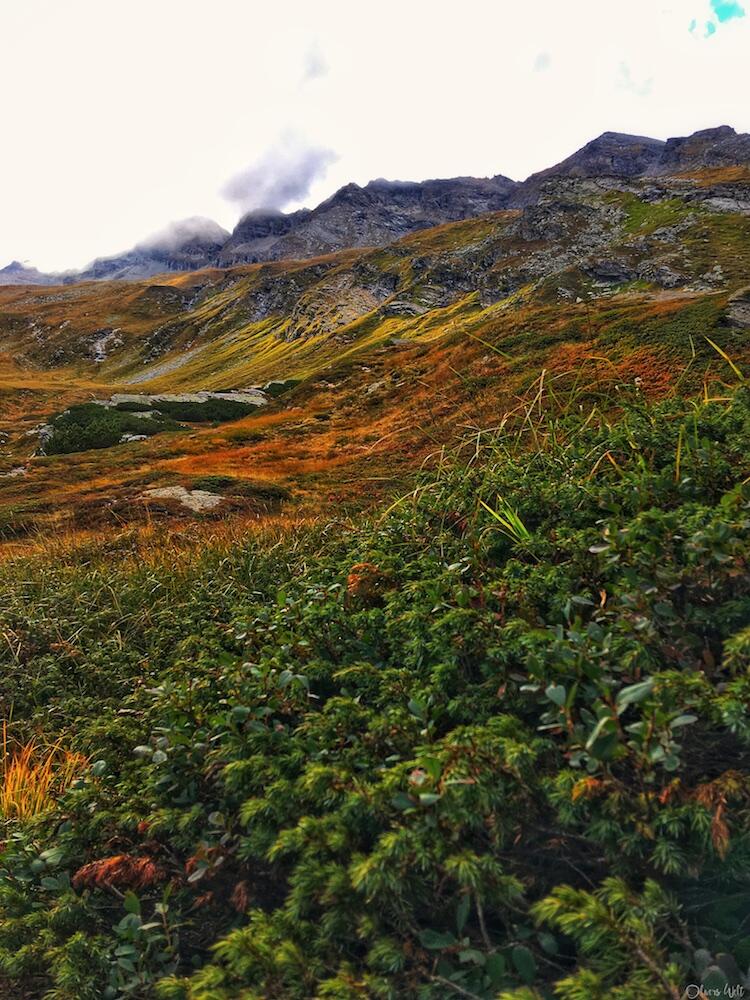 Bild ohne Beschreibung