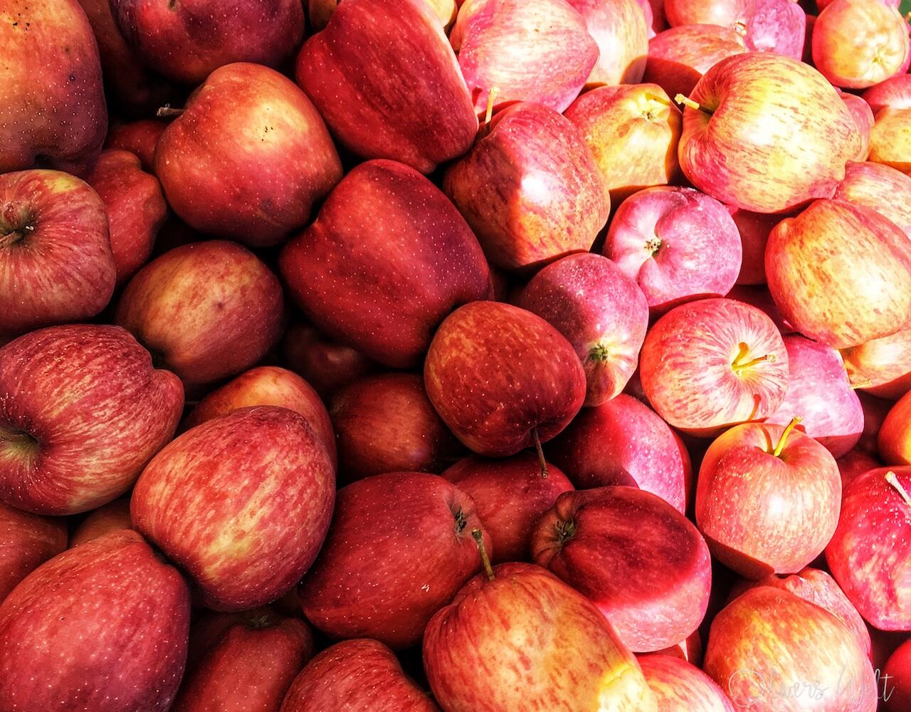 Bild ohne Beschreibung