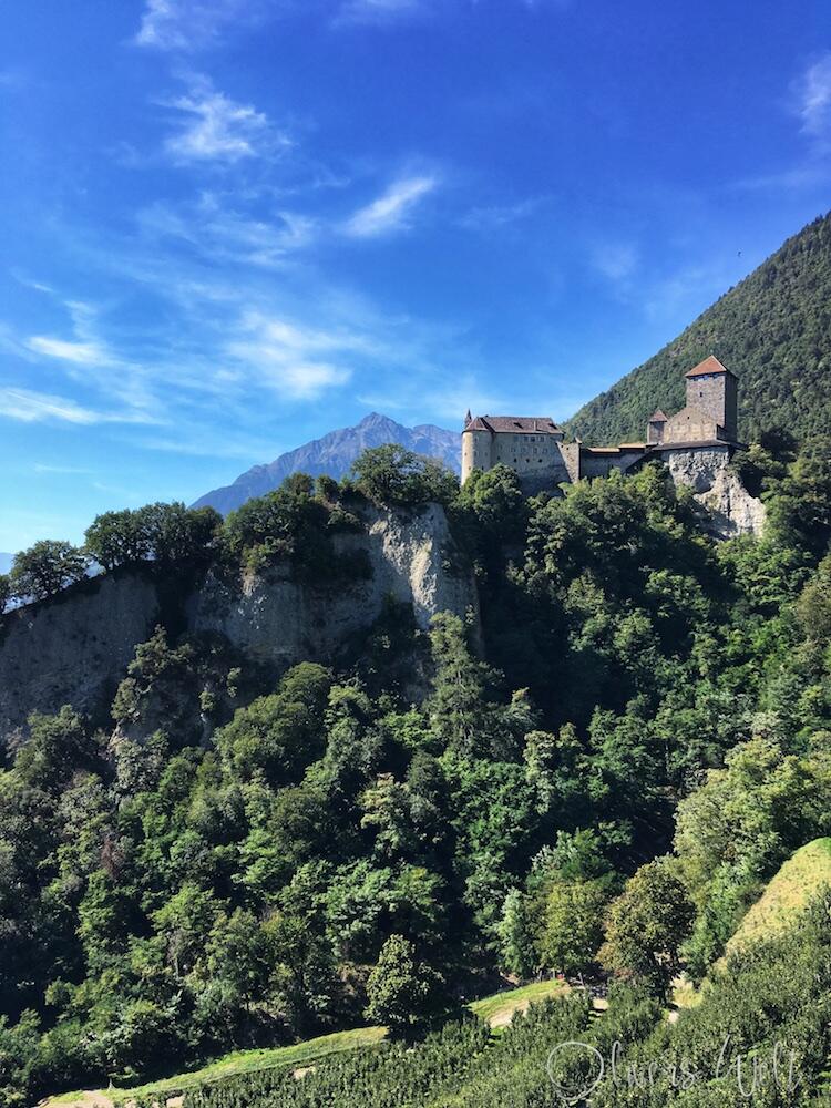 Bild ohne Beschreibung