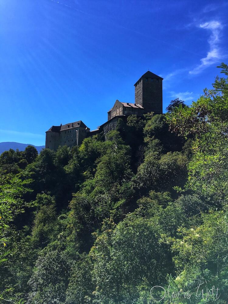 Bild ohne Beschreibung