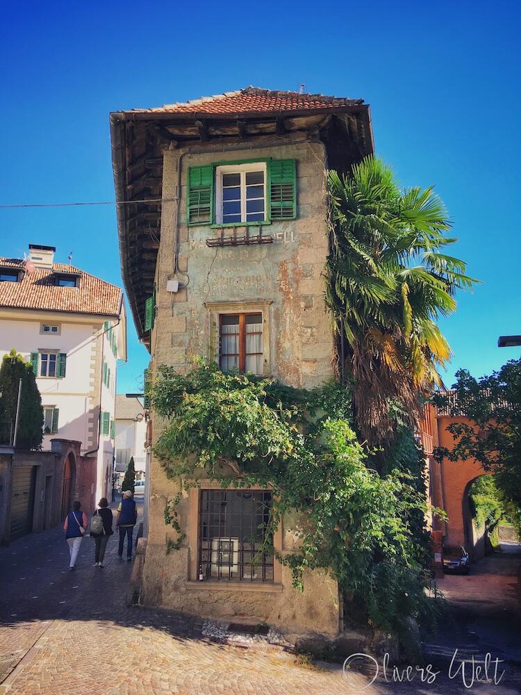 Bild ohne Beschreibung