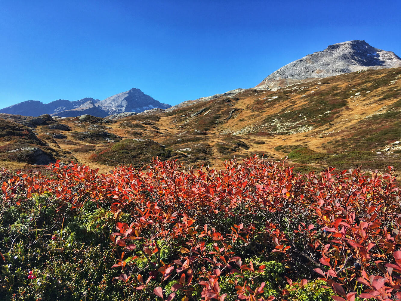 Bild ohne Beschreibung Bild ohne Beschreibung