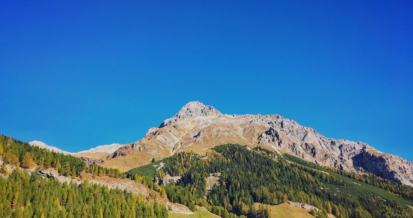 Bild ohne Beschreibung