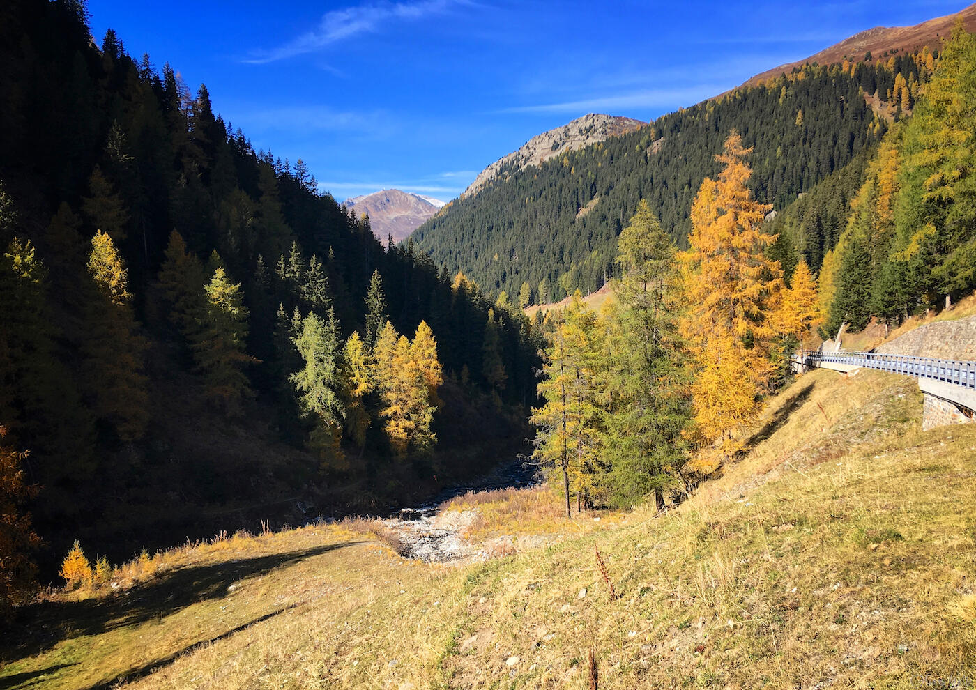 Bild ohne Beschreibung