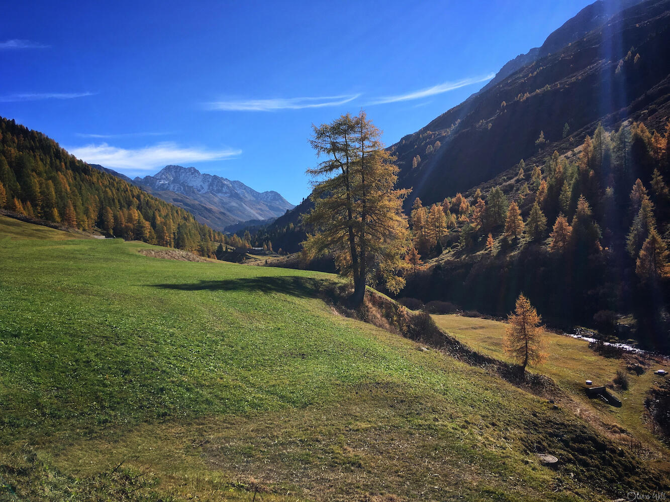 Bild ohne Beschreibung