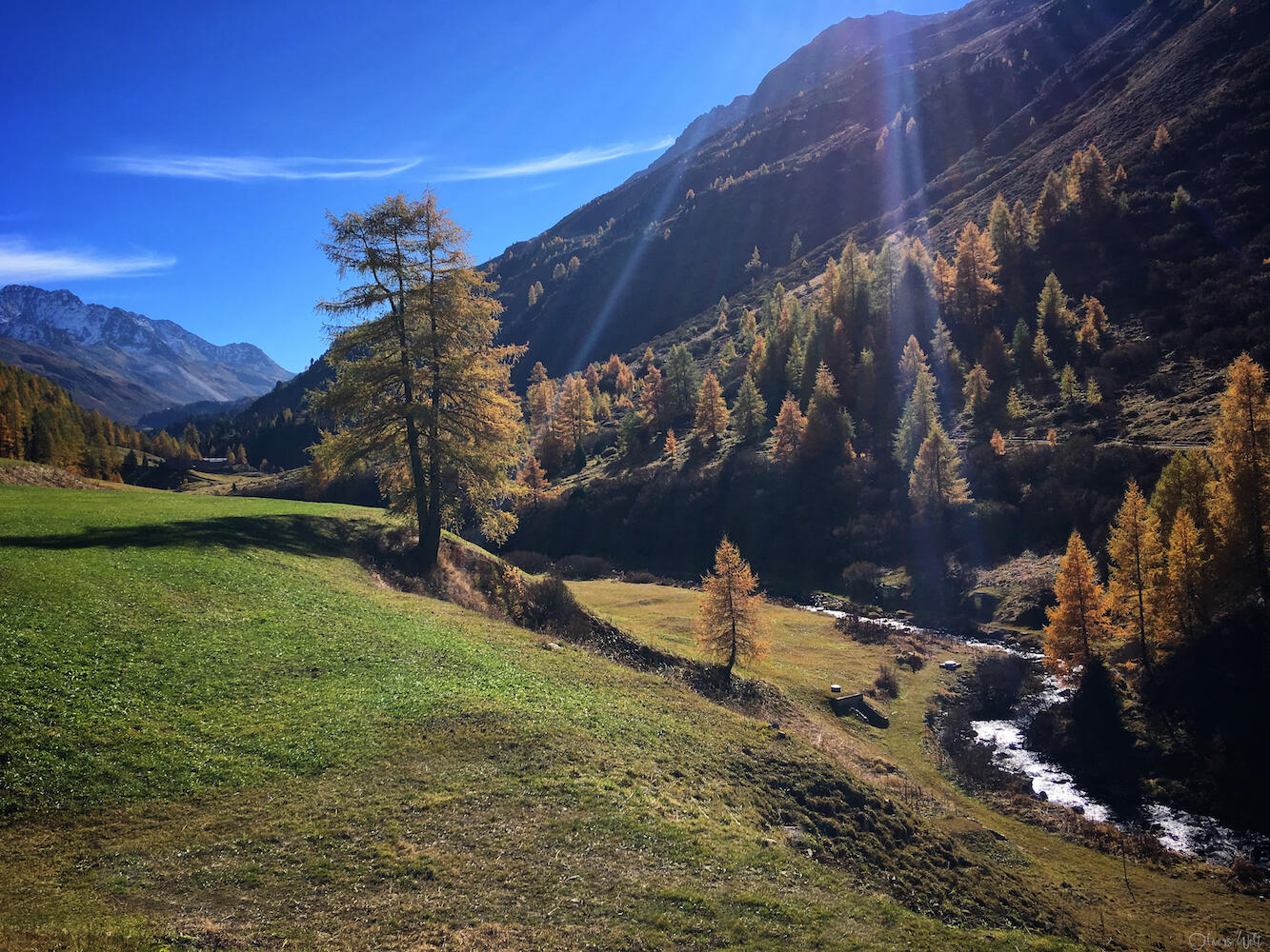 Bild ohne Beschreibung