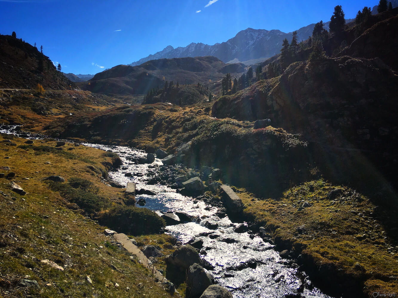 Bild ohne Beschreibung