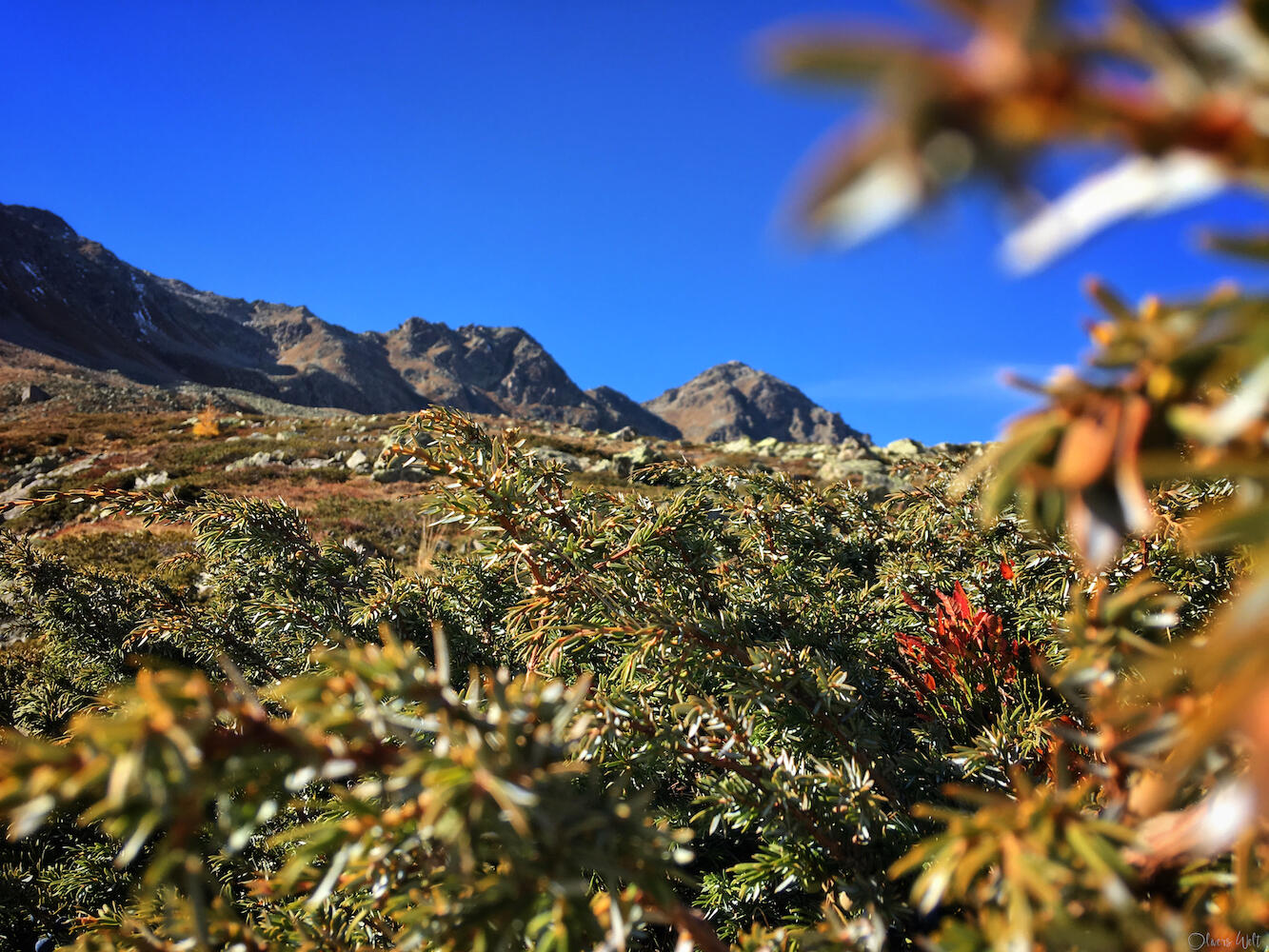 Bild ohne Beschreibung