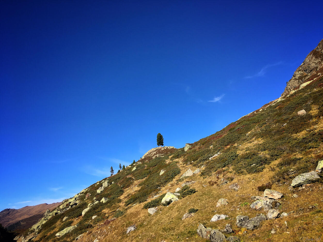 Bild ohne Beschreibung