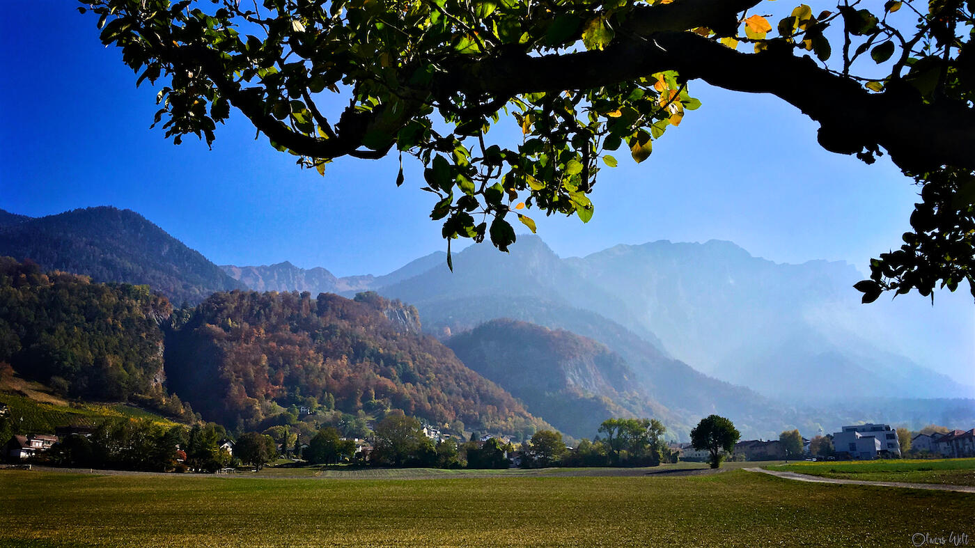 Bild ohne Beschreibung