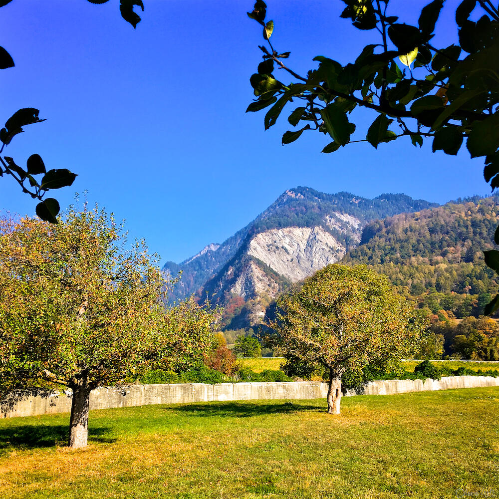 Bild ohne Beschreibung