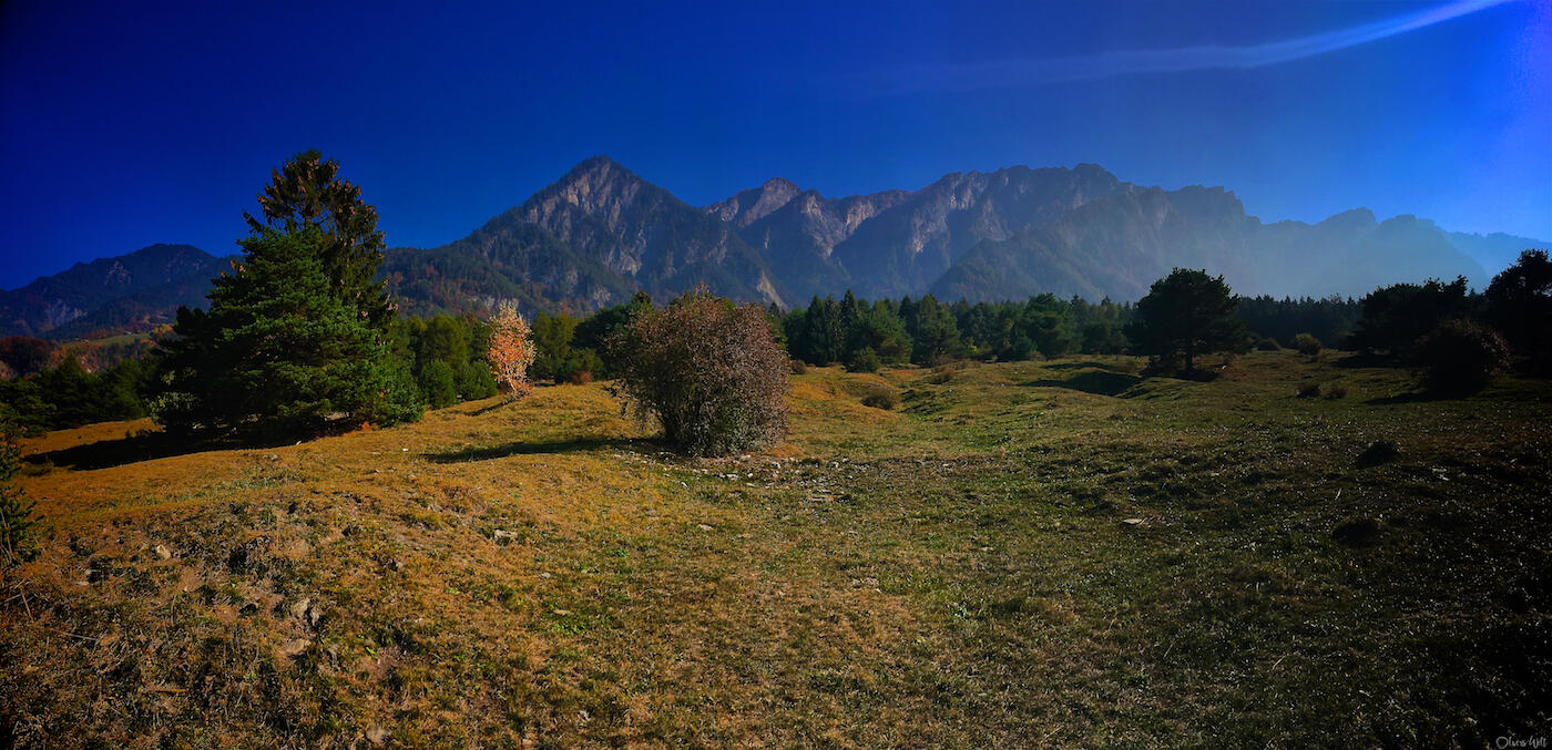 Bild ohne Beschreibung