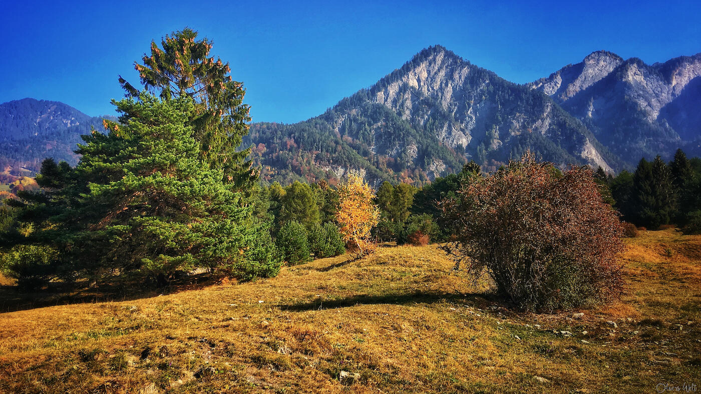 Bild ohne Beschreibung