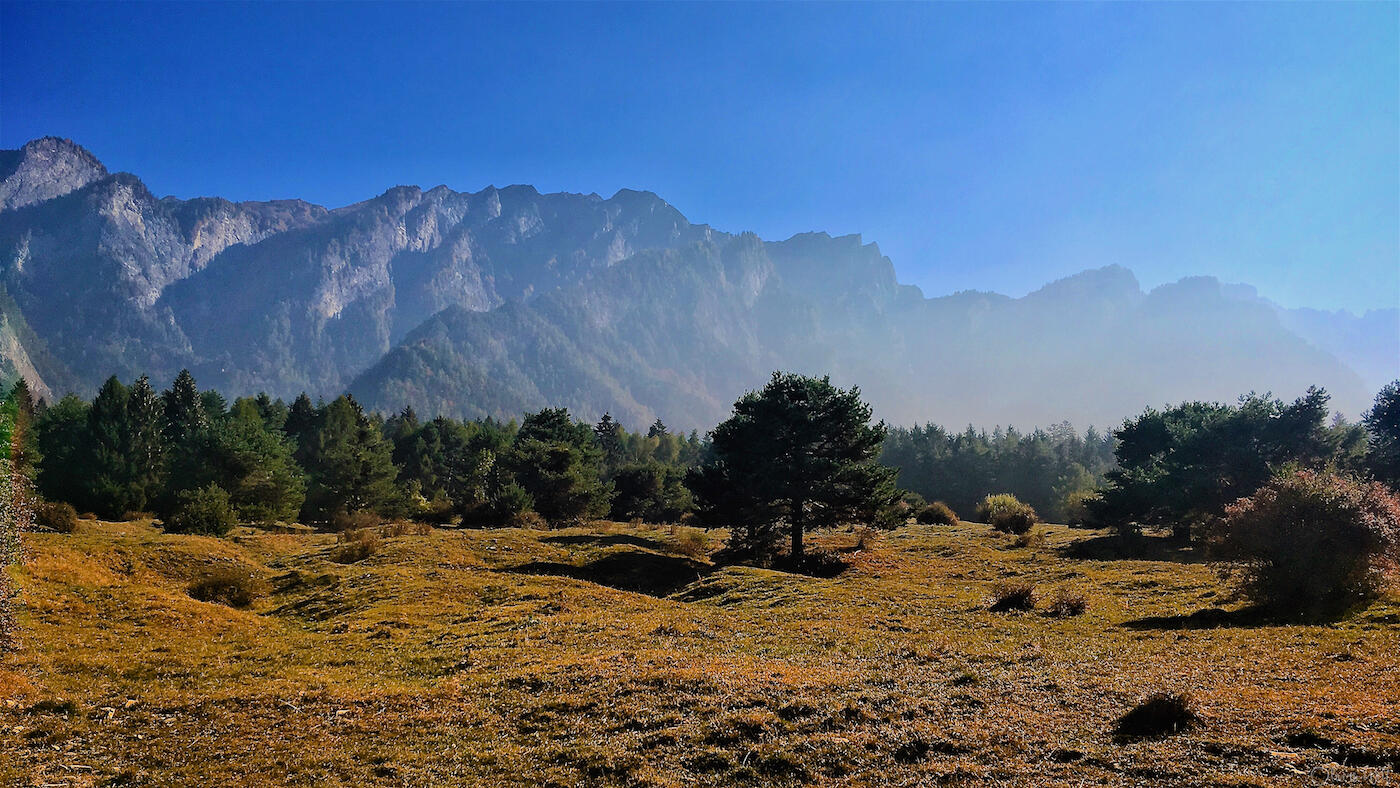 Bild ohne Beschreibung