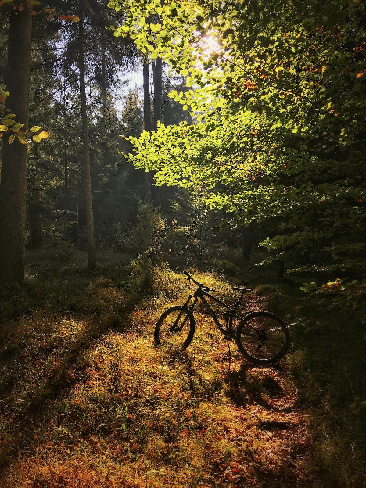 Bild ohne Beschreibung