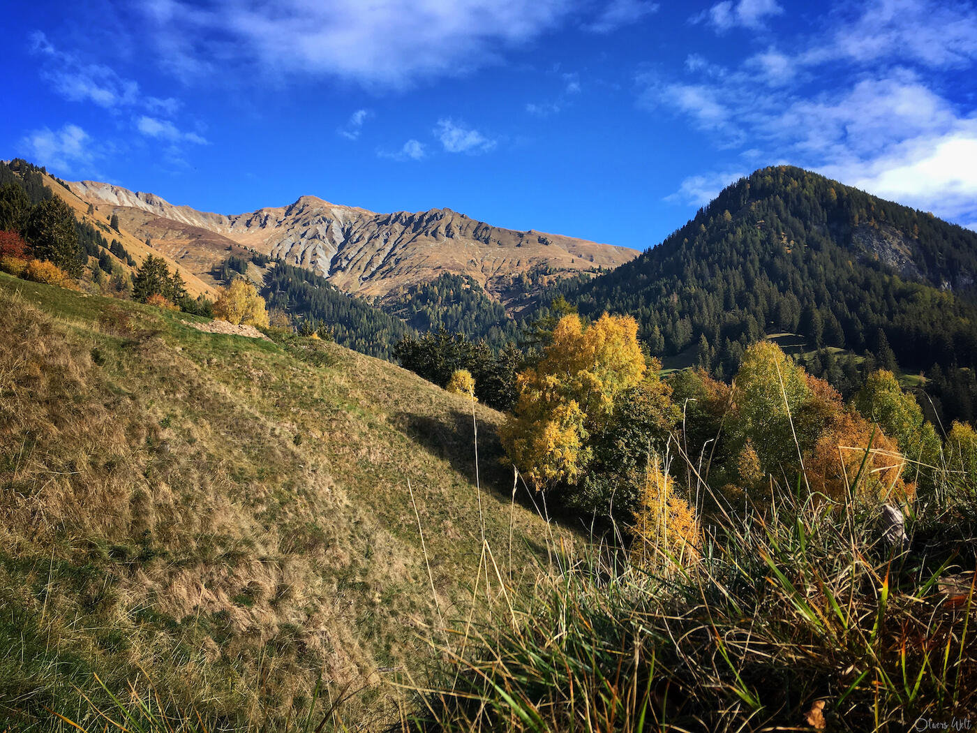 Bild ohne Beschreibung Bild ohne Beschreibung